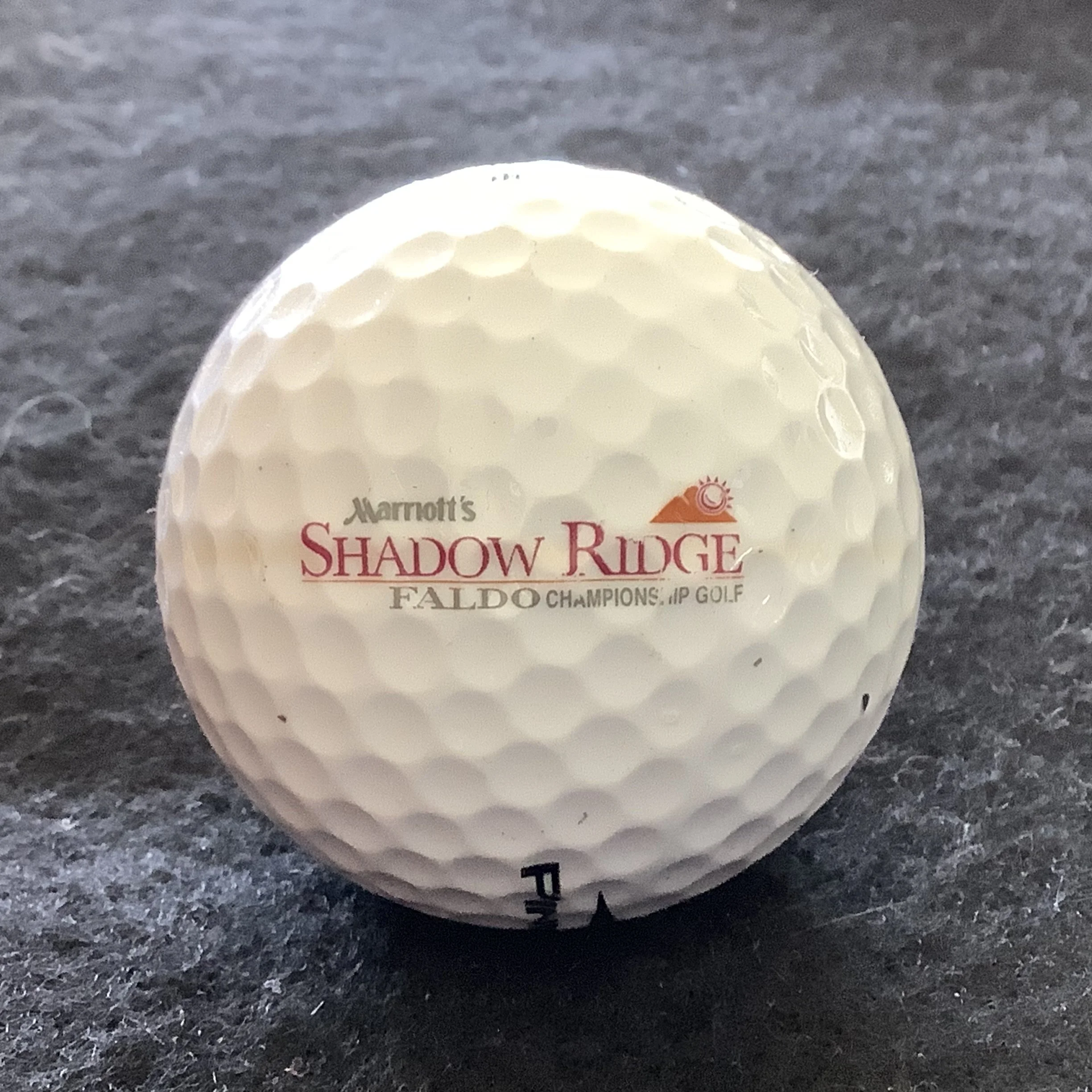 Marriott’s Shadow Ridge Golf Course 
