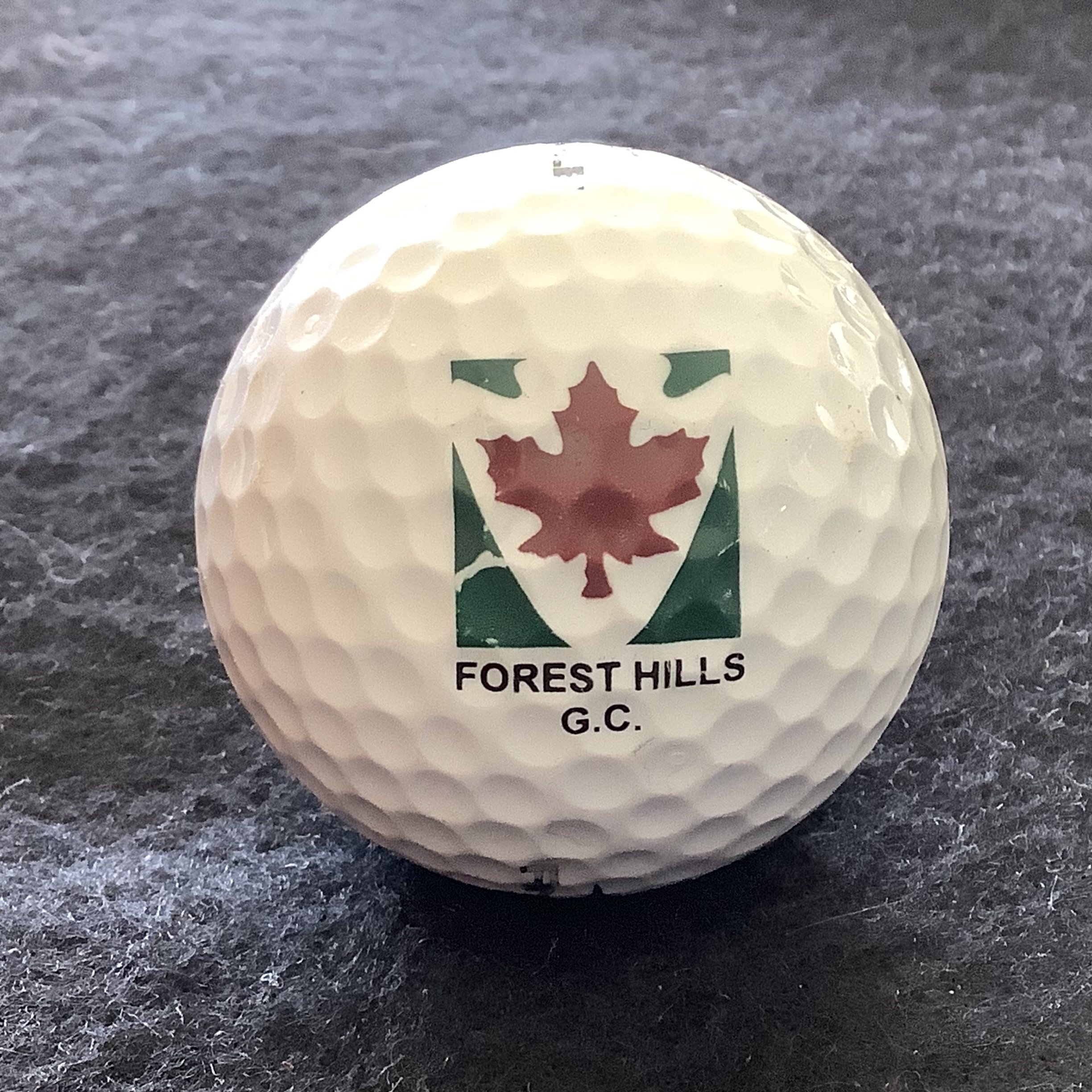Forest Hills Golf Club 