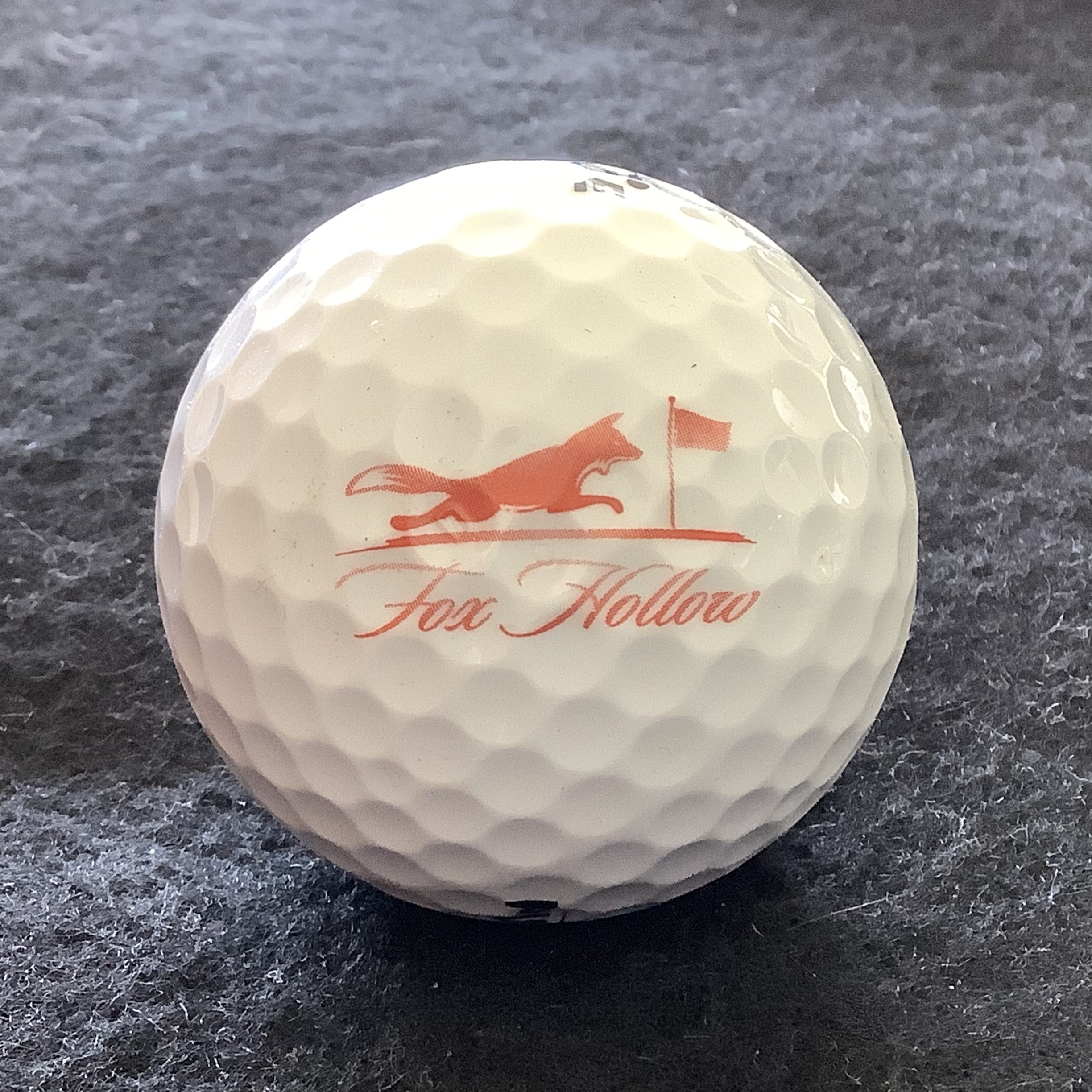 Fox Hollow Golf Club 