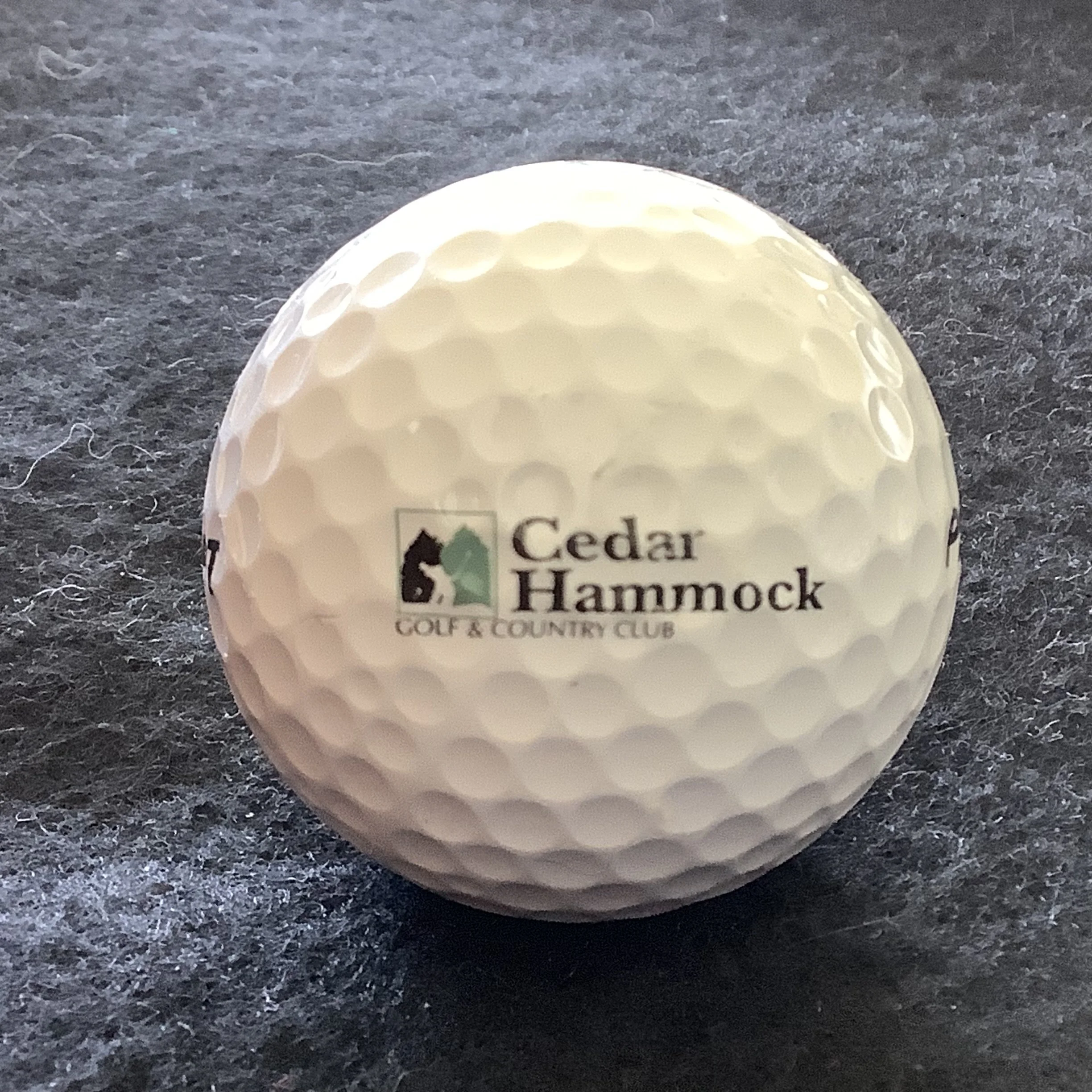 Cedar Hammock Golf and Country Club 