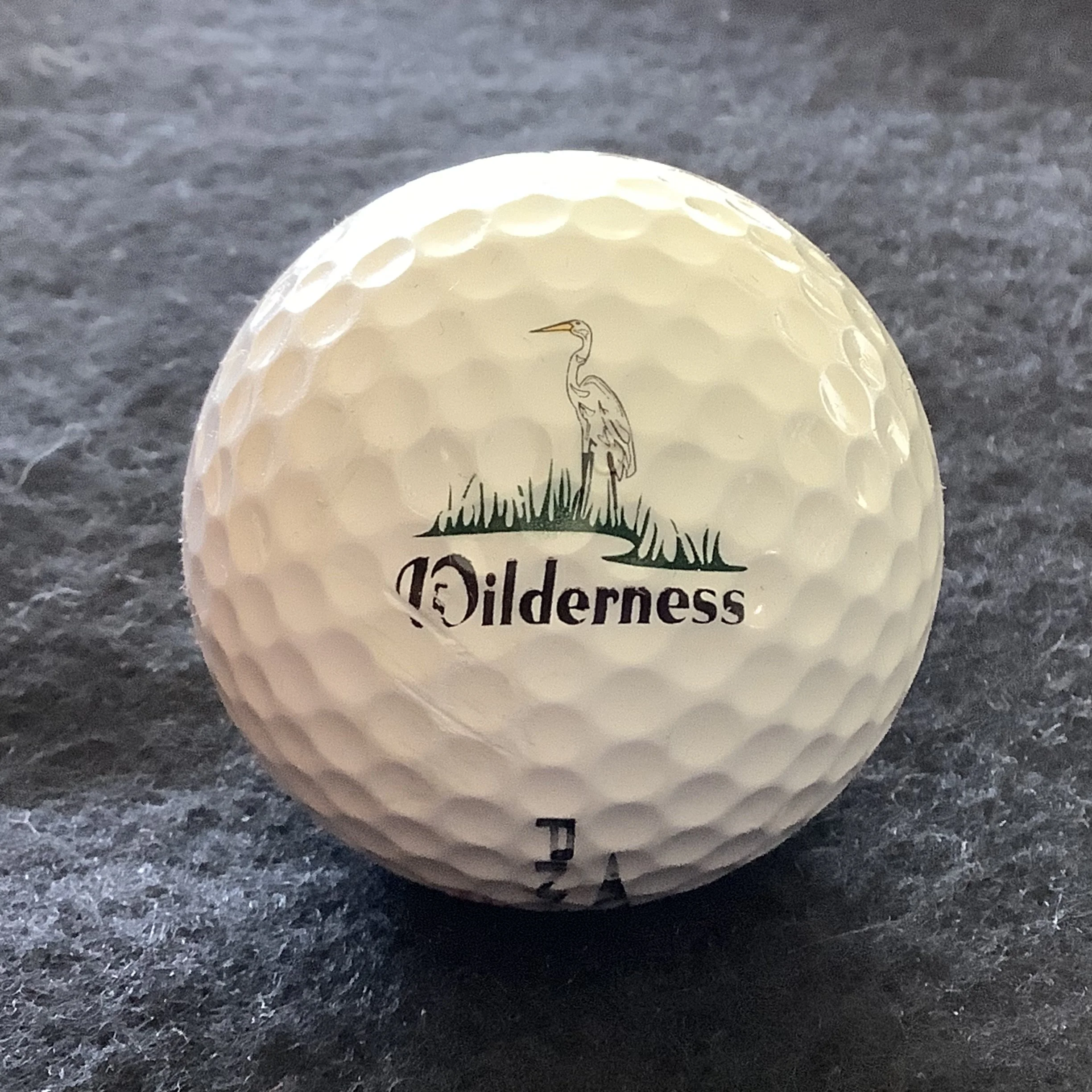 Wilderness Country Club 