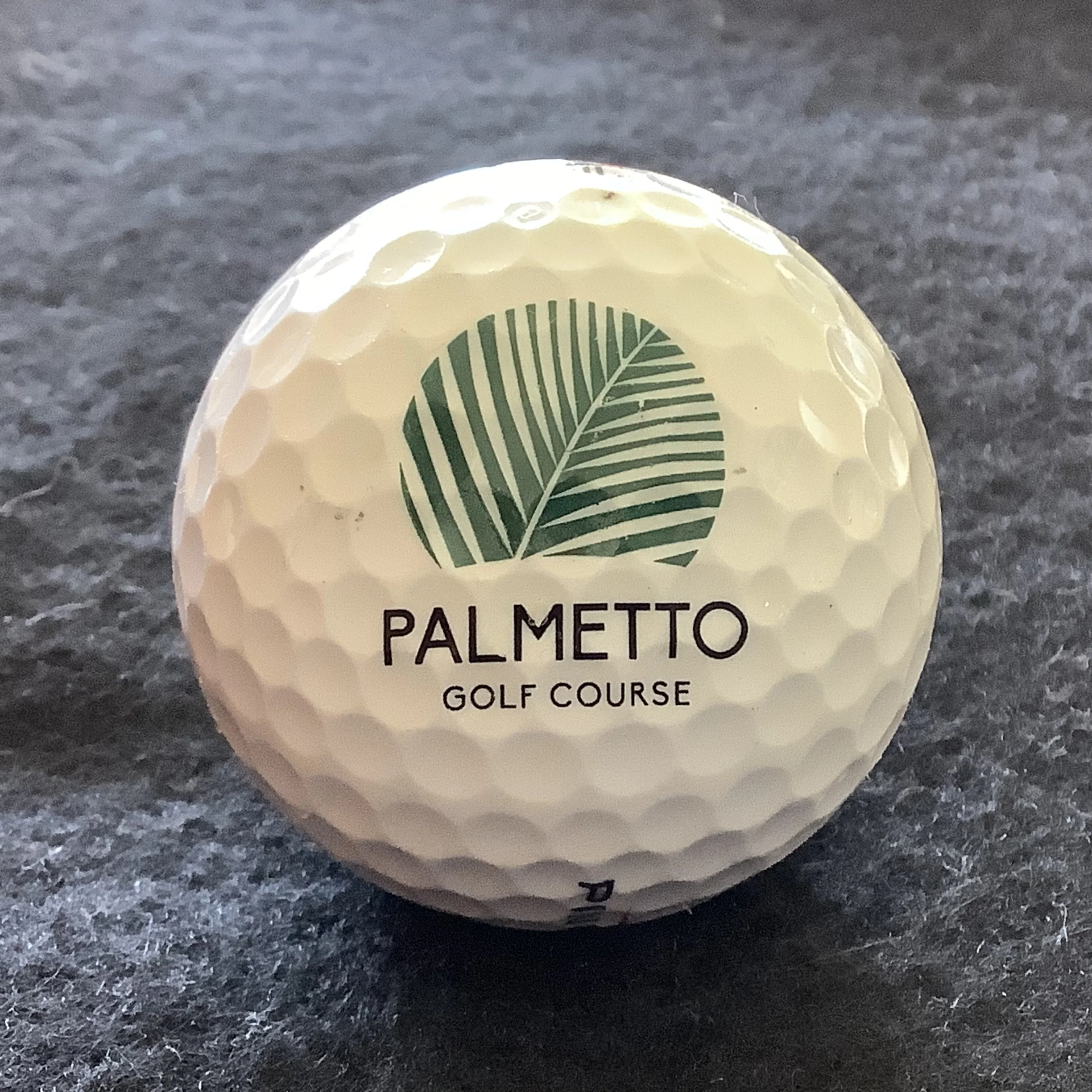 Palmetto Golf Course 