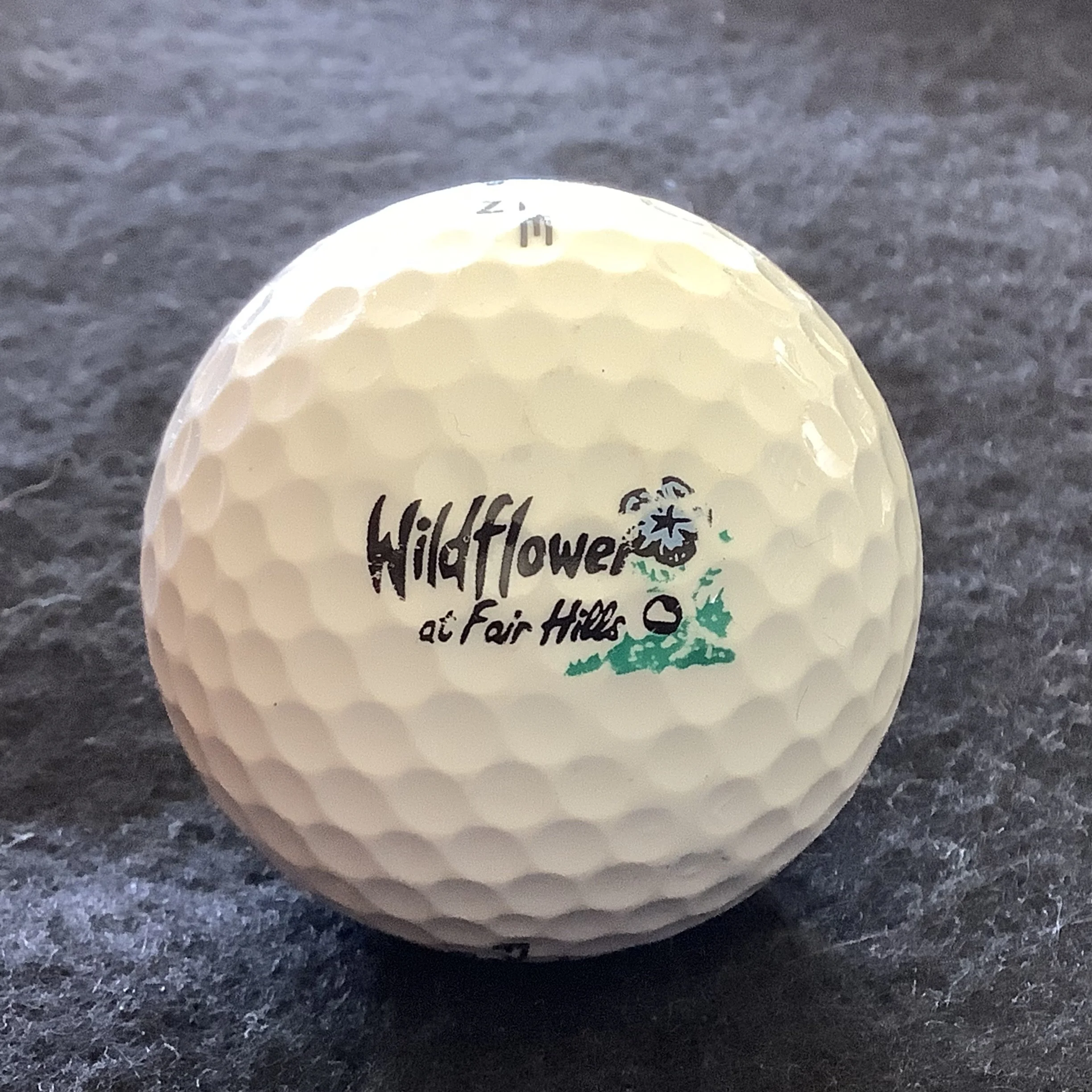 Wildflower Course at Fair Hills Resort 