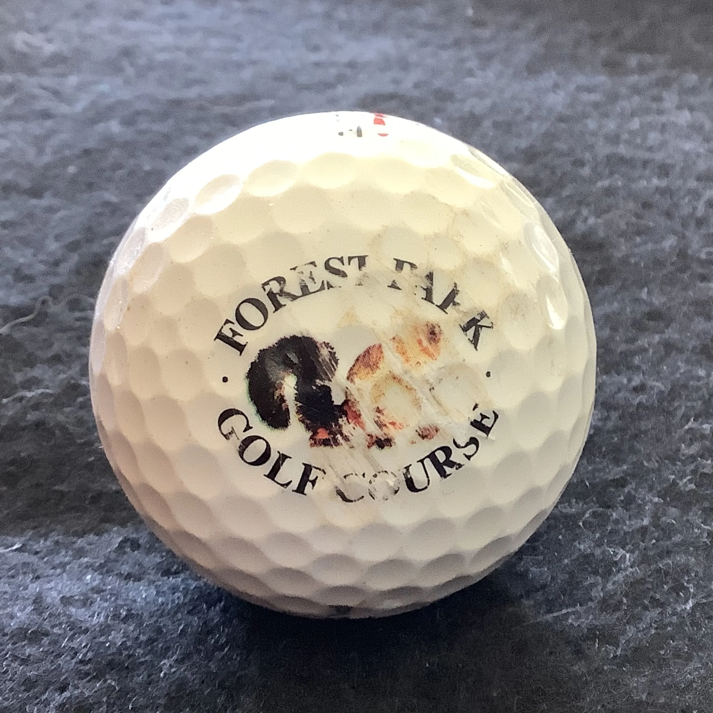 Forest Park Golf Course 