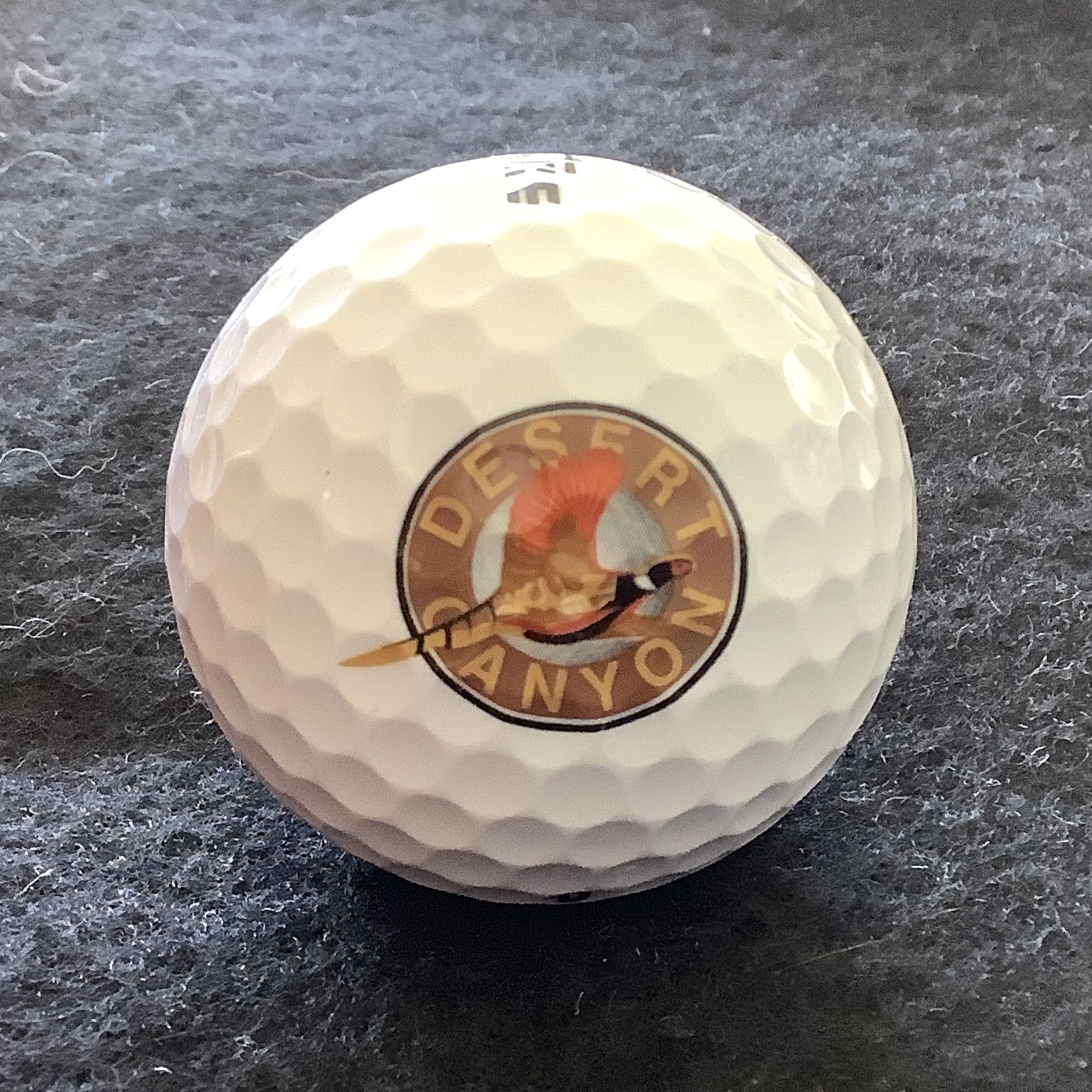 Desert Canyon Golf Resort 