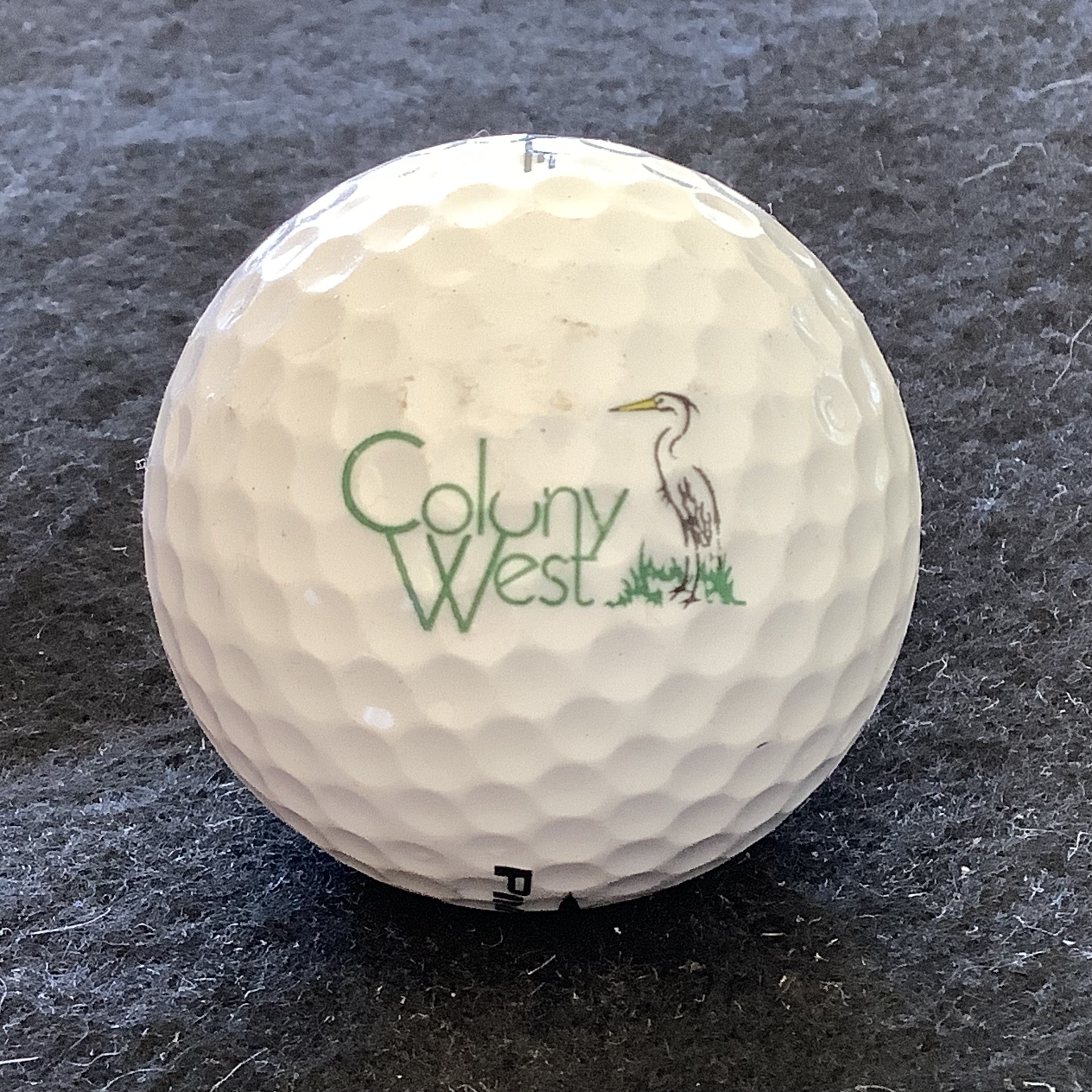 Colony West Golf Course 