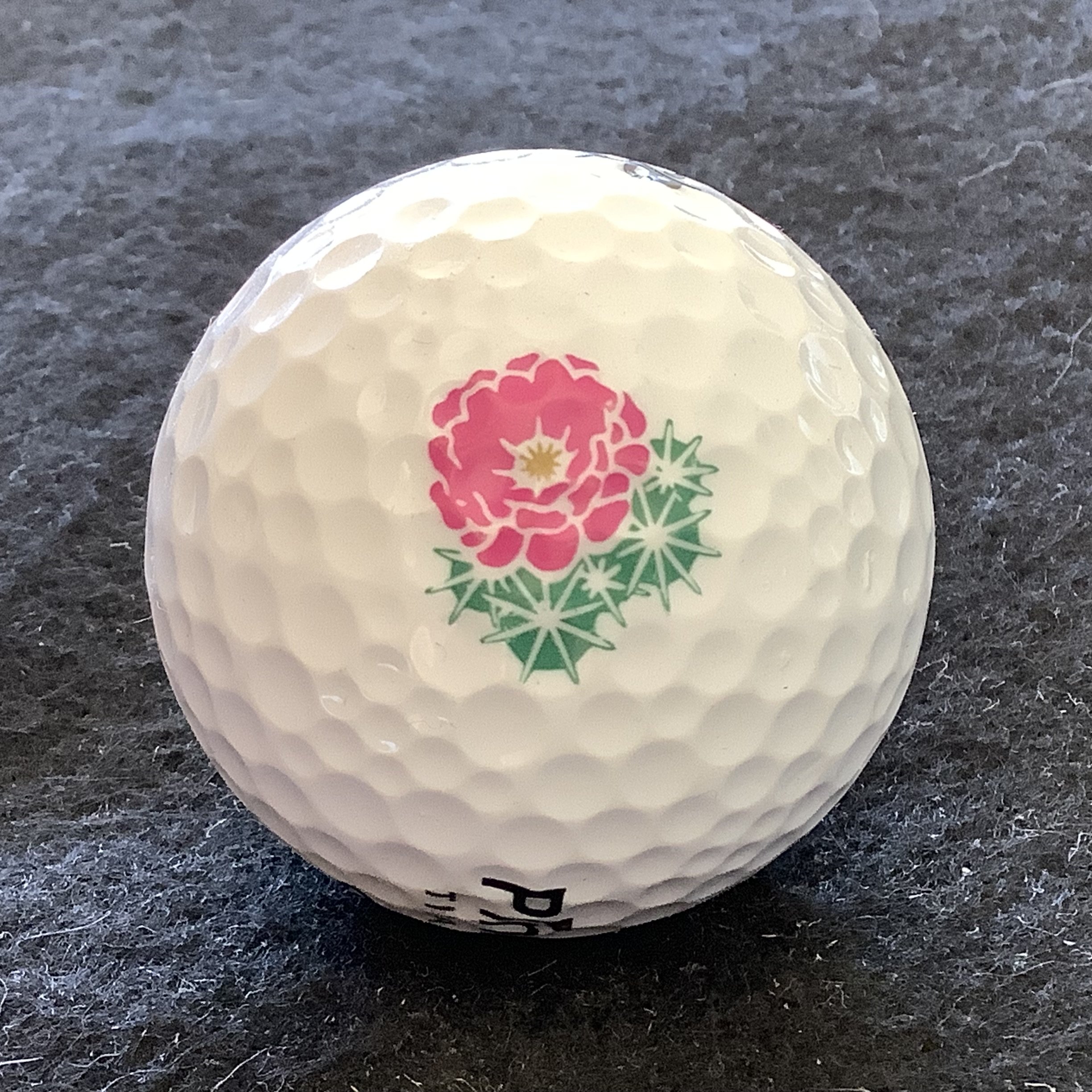 Gainey Ranch Golf Course 