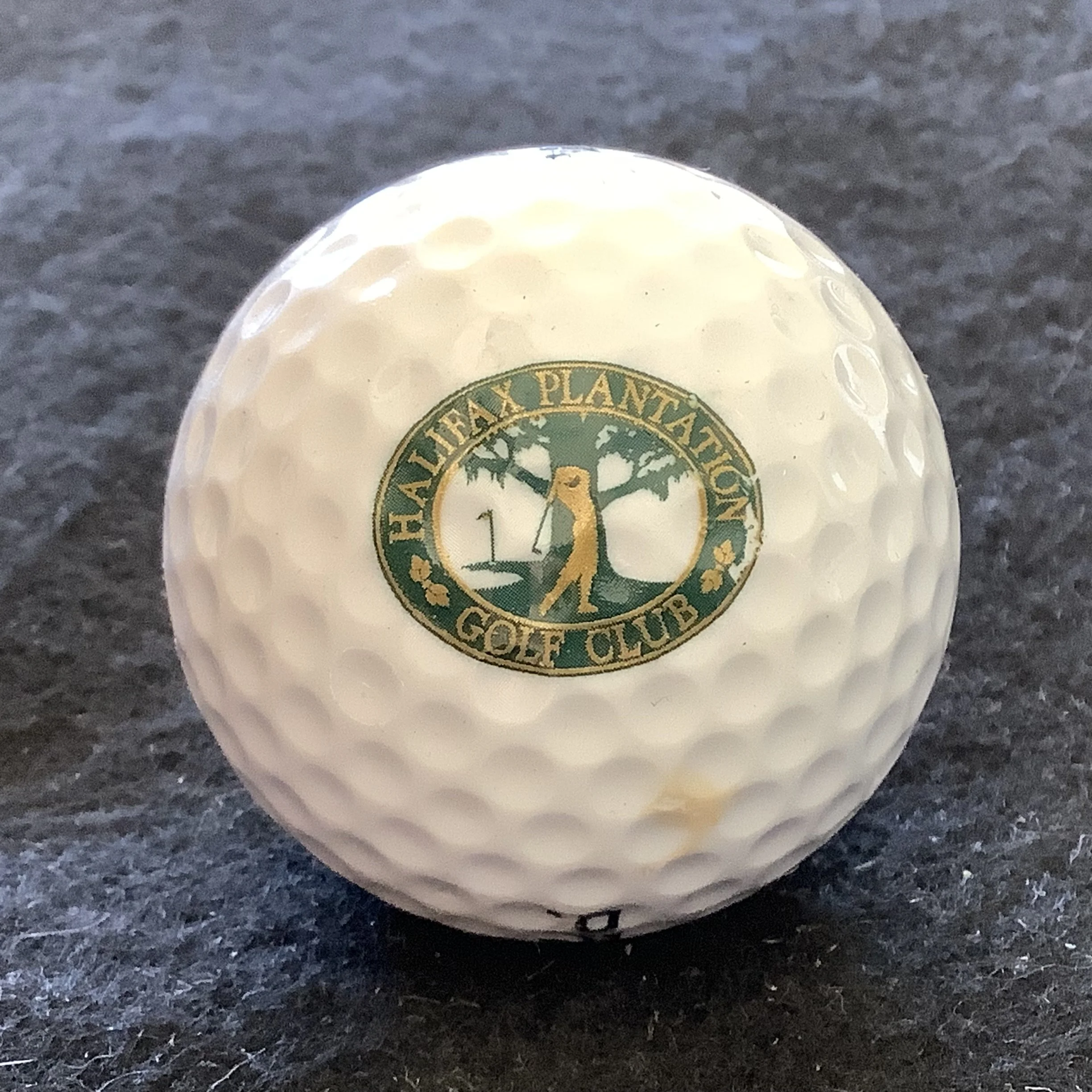 Halifax Plantation Golf Club 