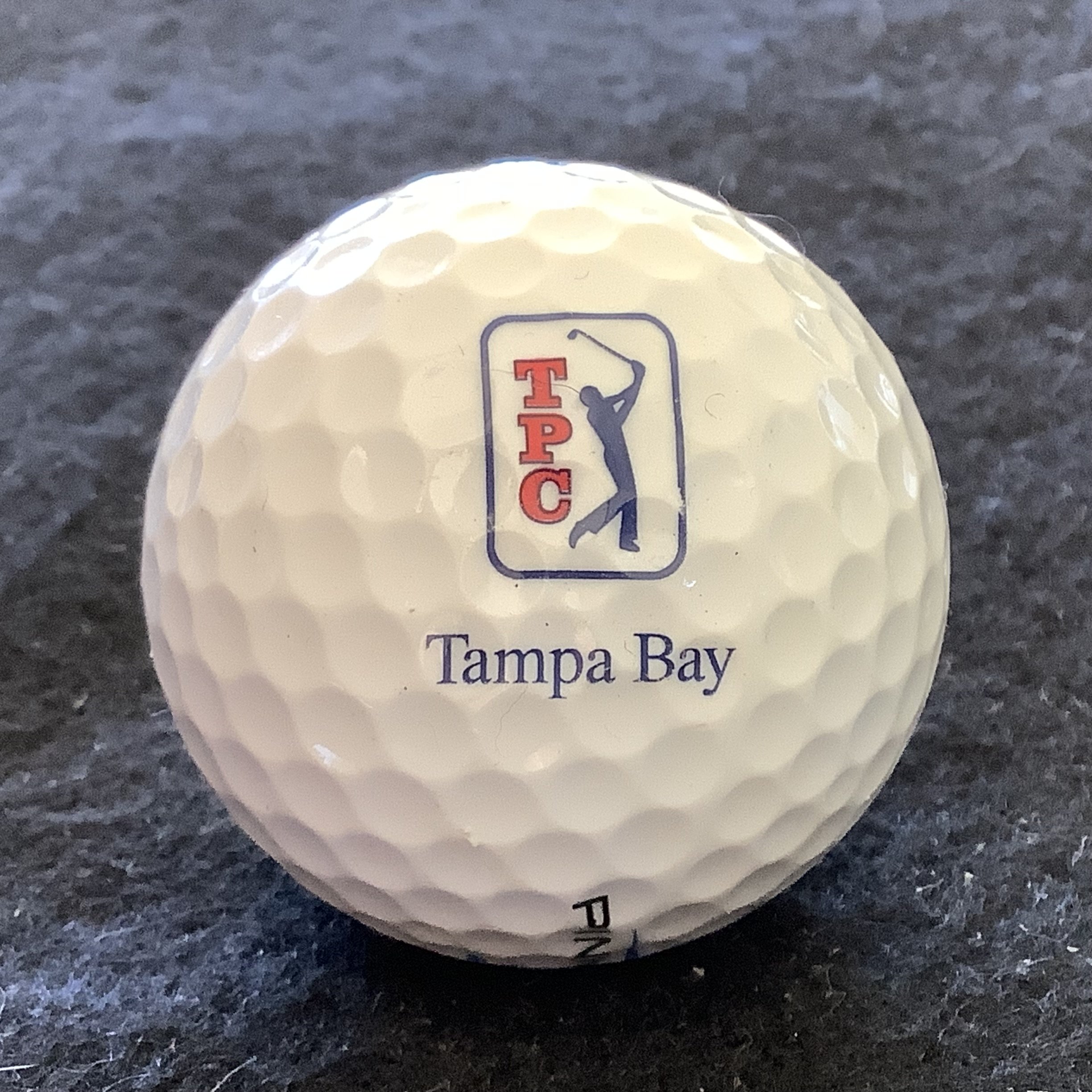 TPC Tampa Bay 