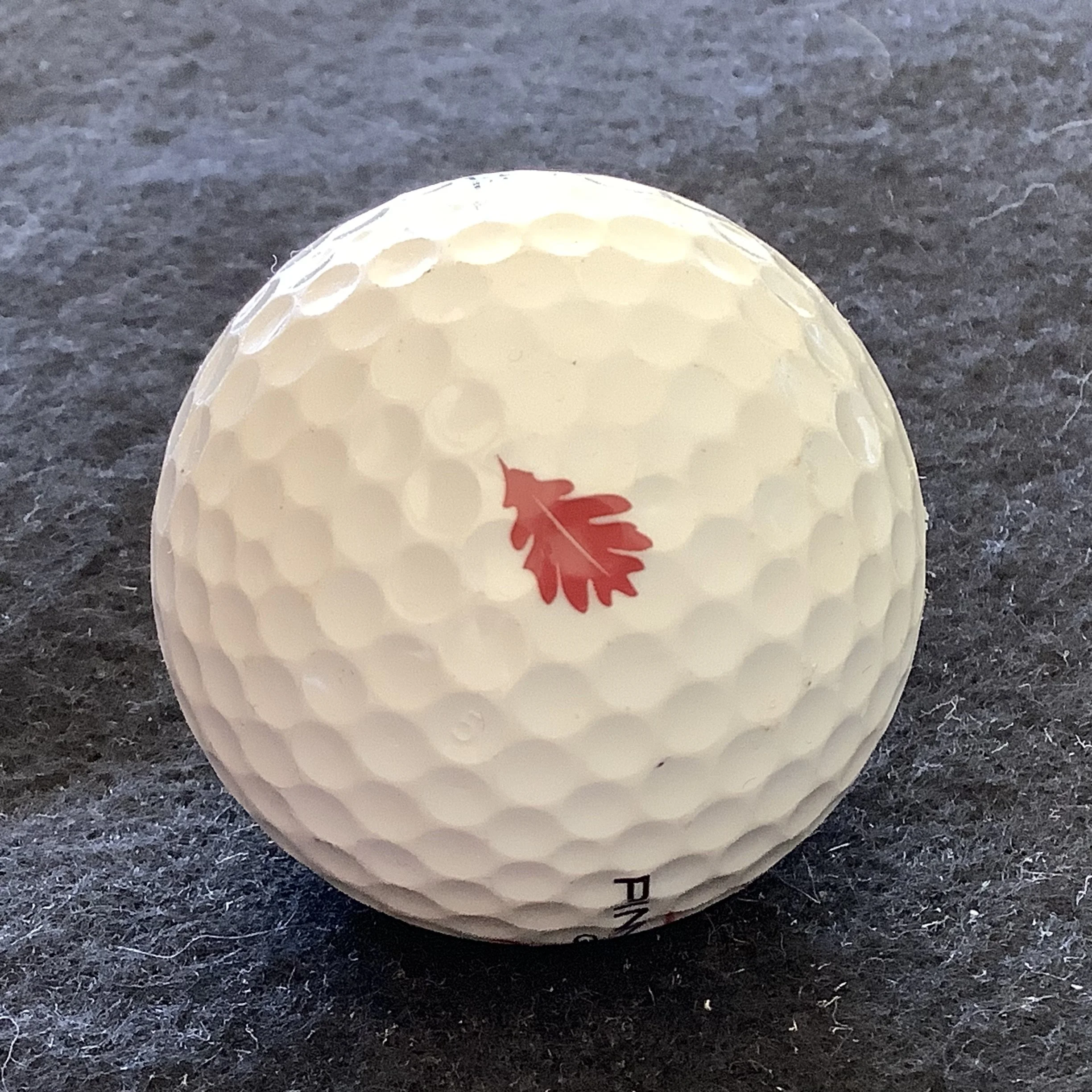 Oaks - The Oaks Golf Club 