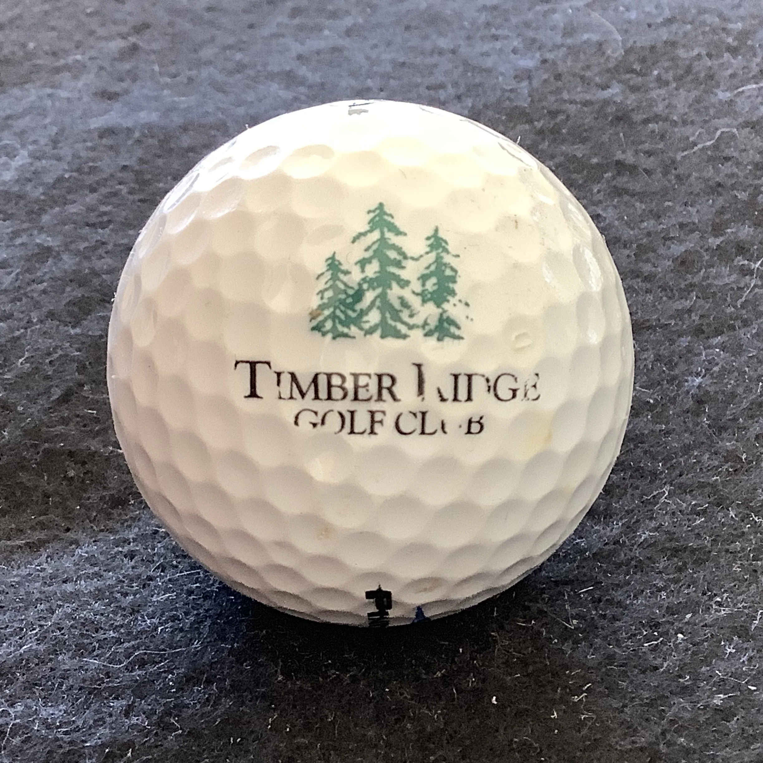 Timber Ridge Golf Club 