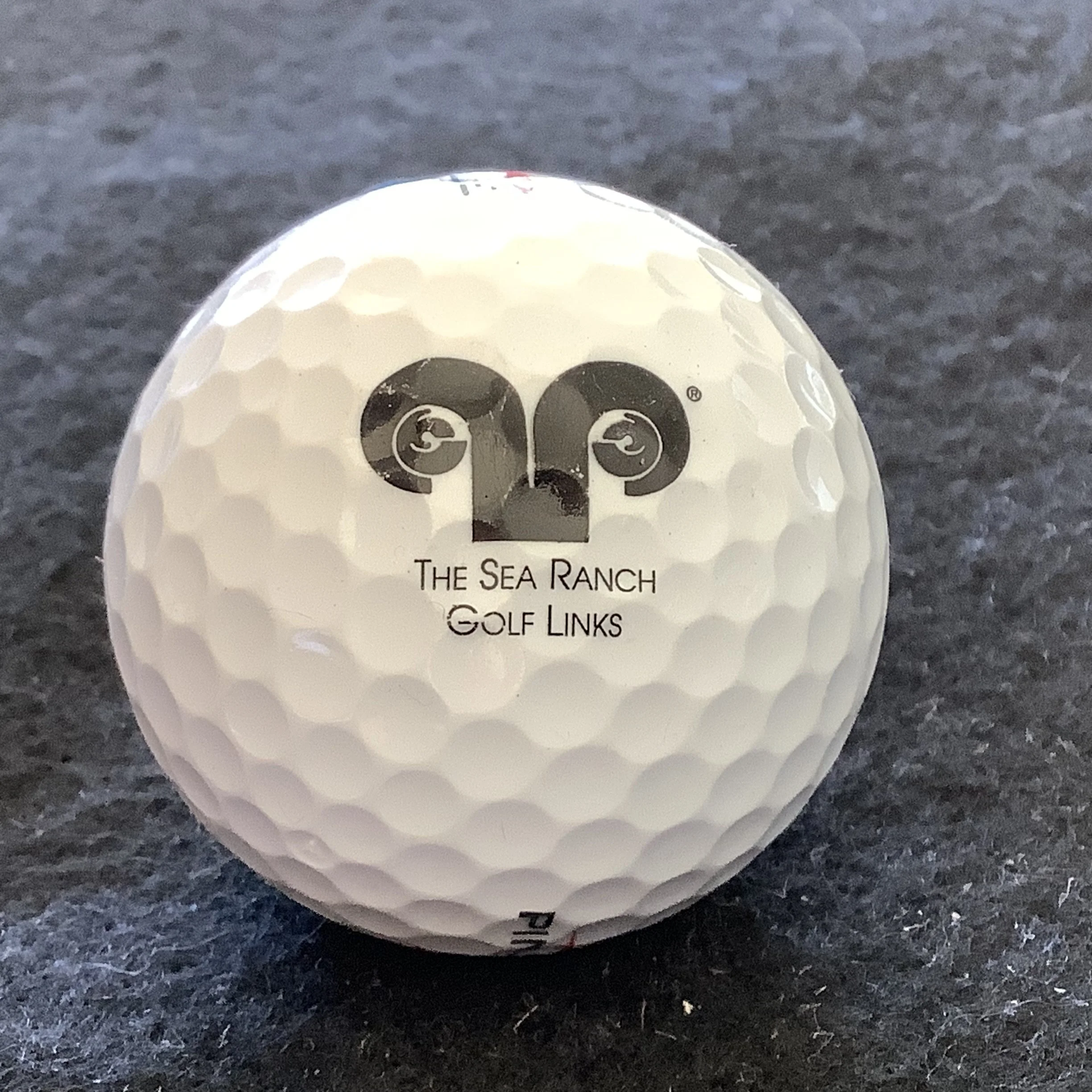 Sea Ranch - The Sea Ranch Golf Links 