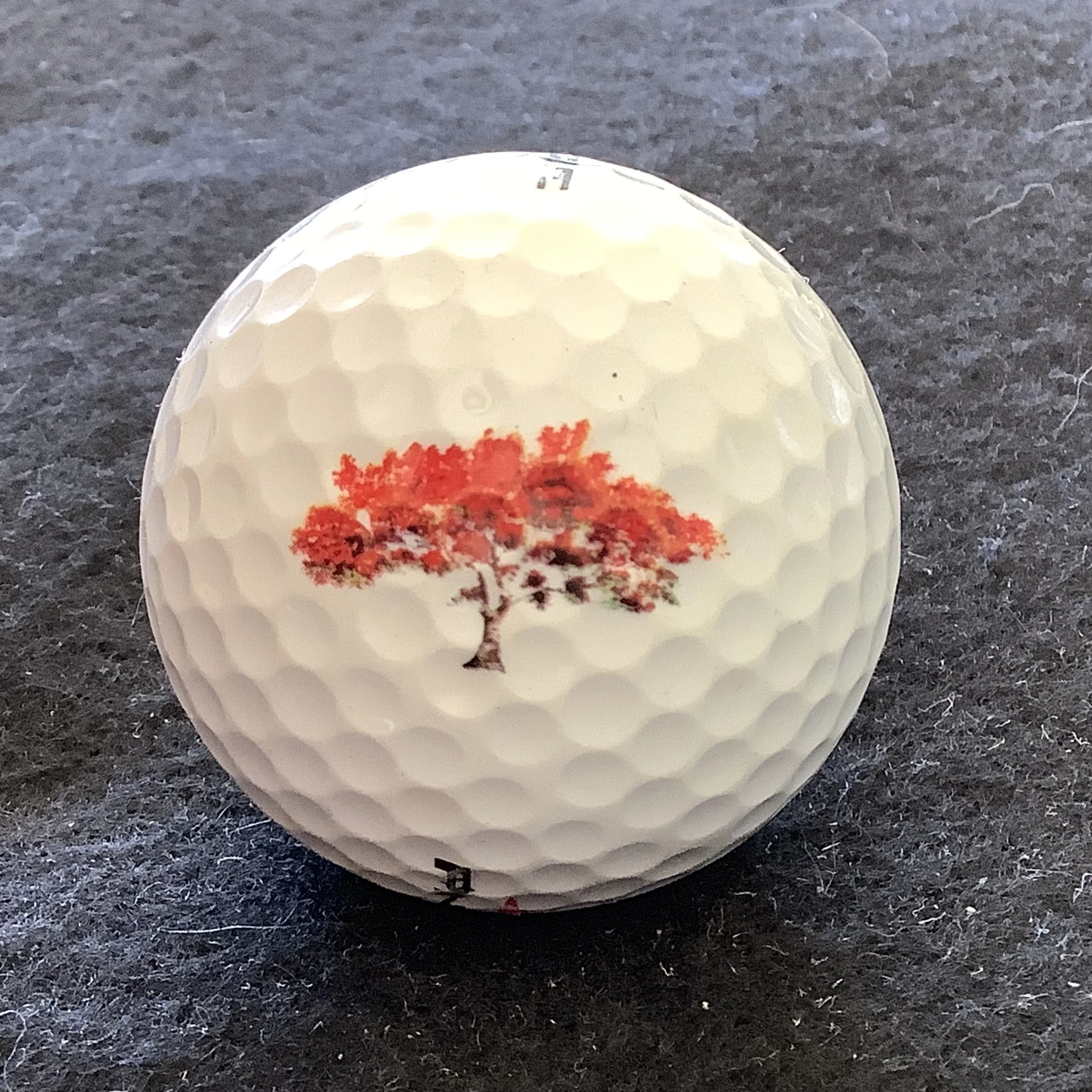 Royal Poinciana Golf Club 