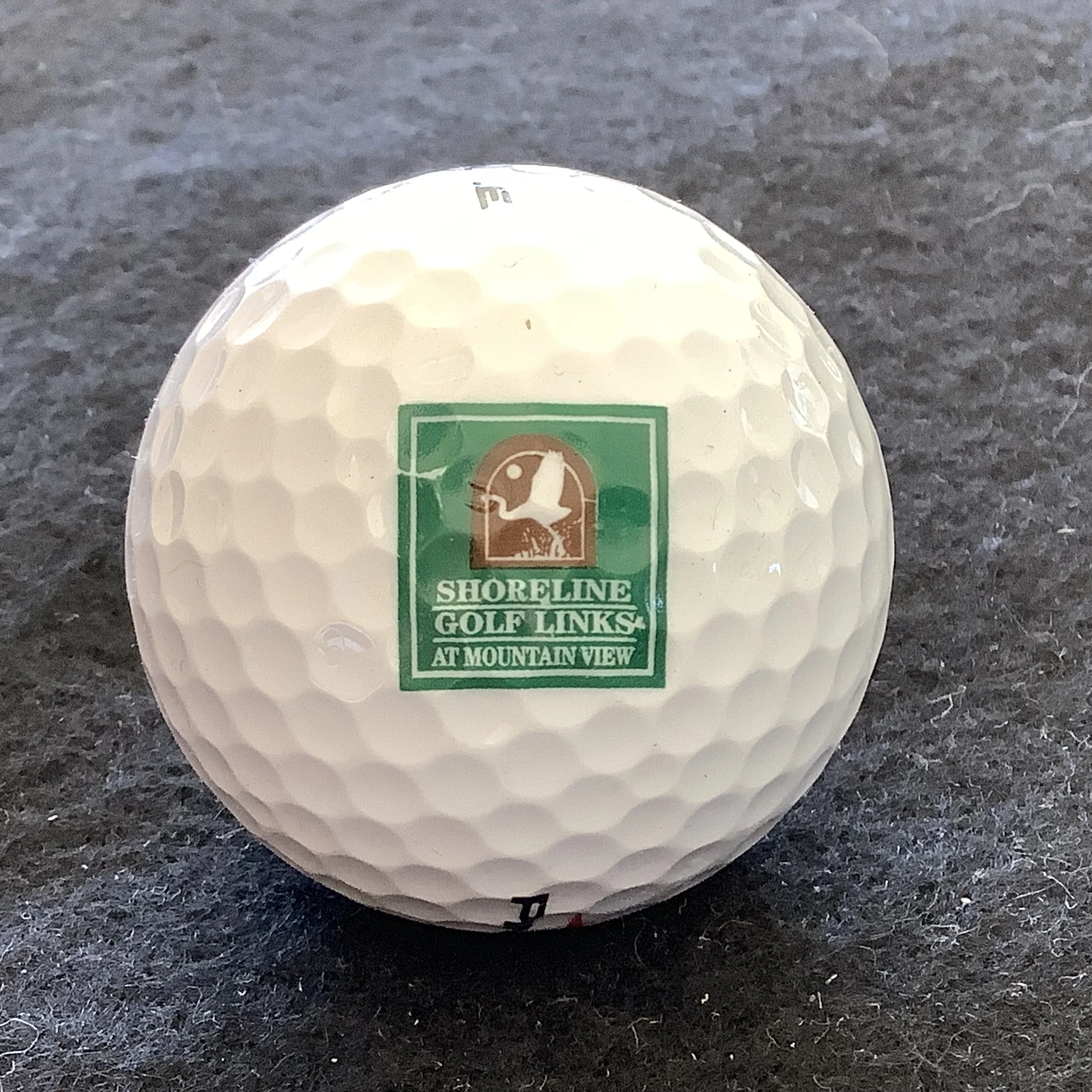 Shoreline Golf Links at Mountain View 