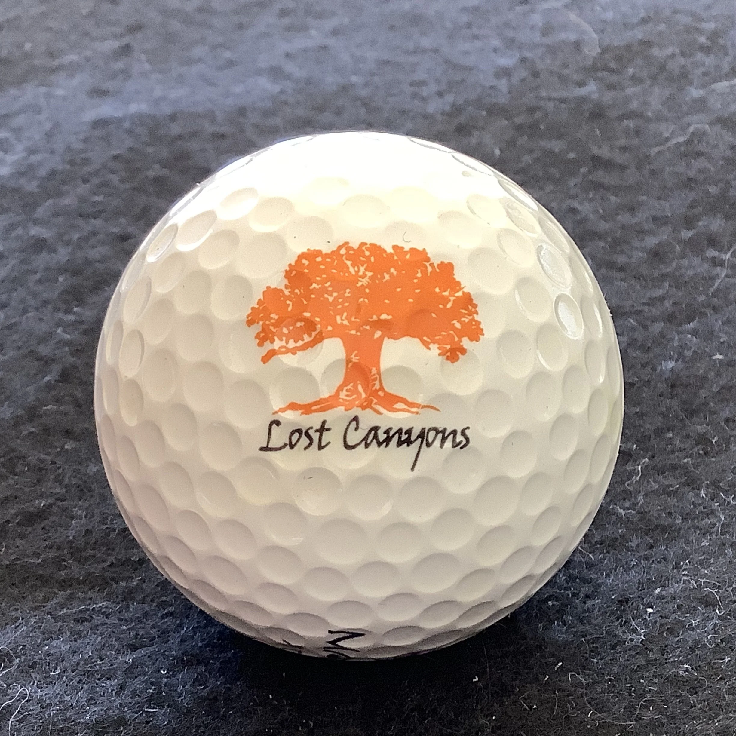 Lost Canyons Golf Club 