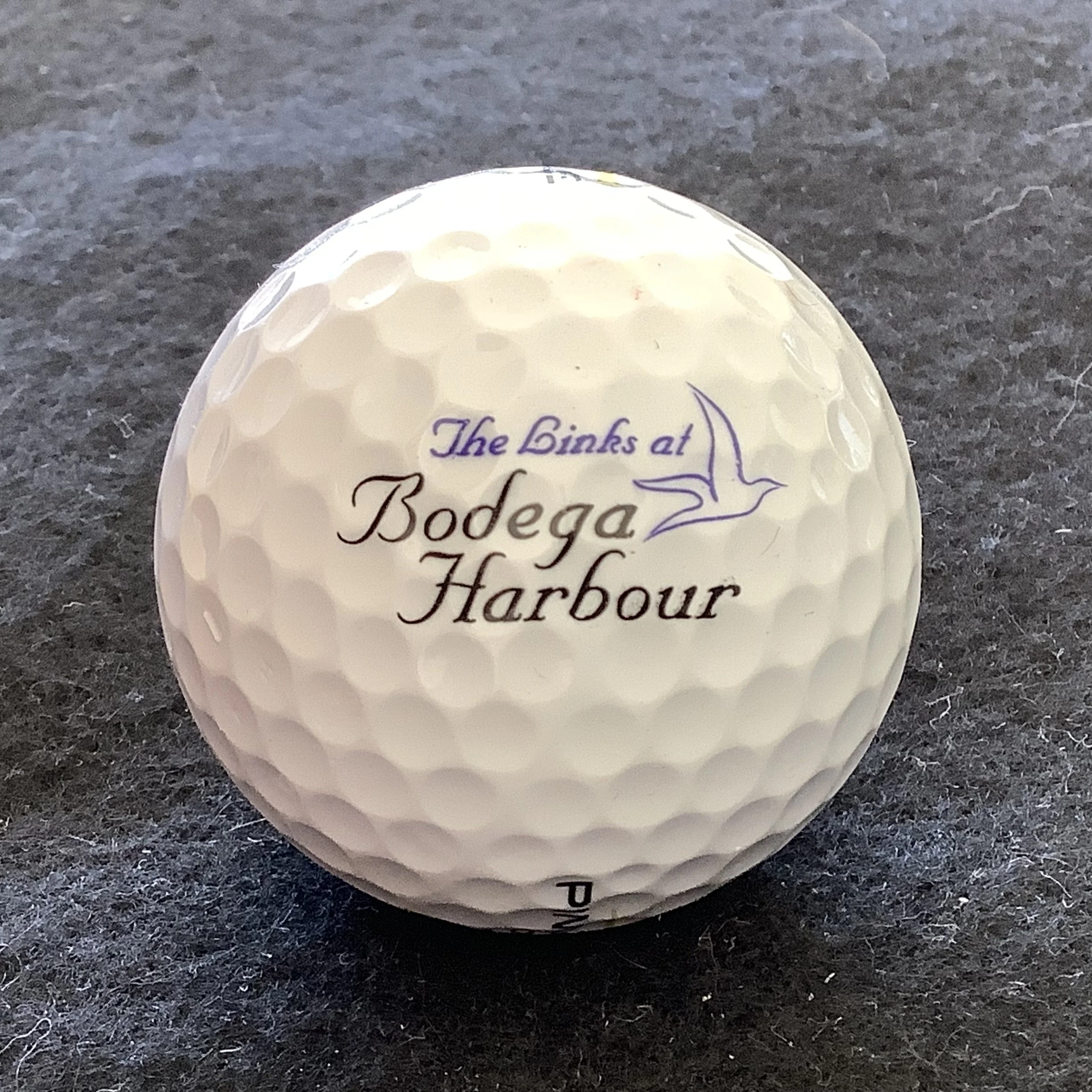 Bodega Harbour - The Links at Bodega Harbour 