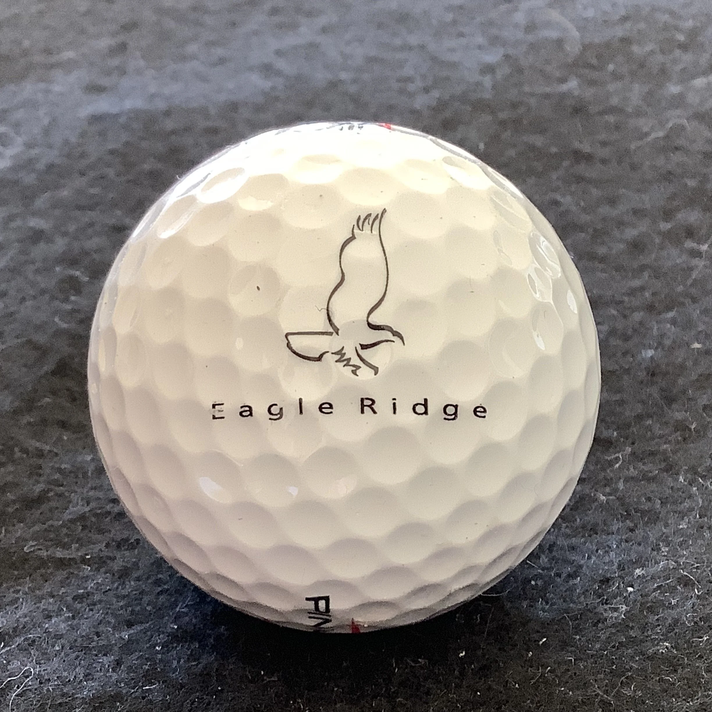 Eagle Ridge Resort and Spa 