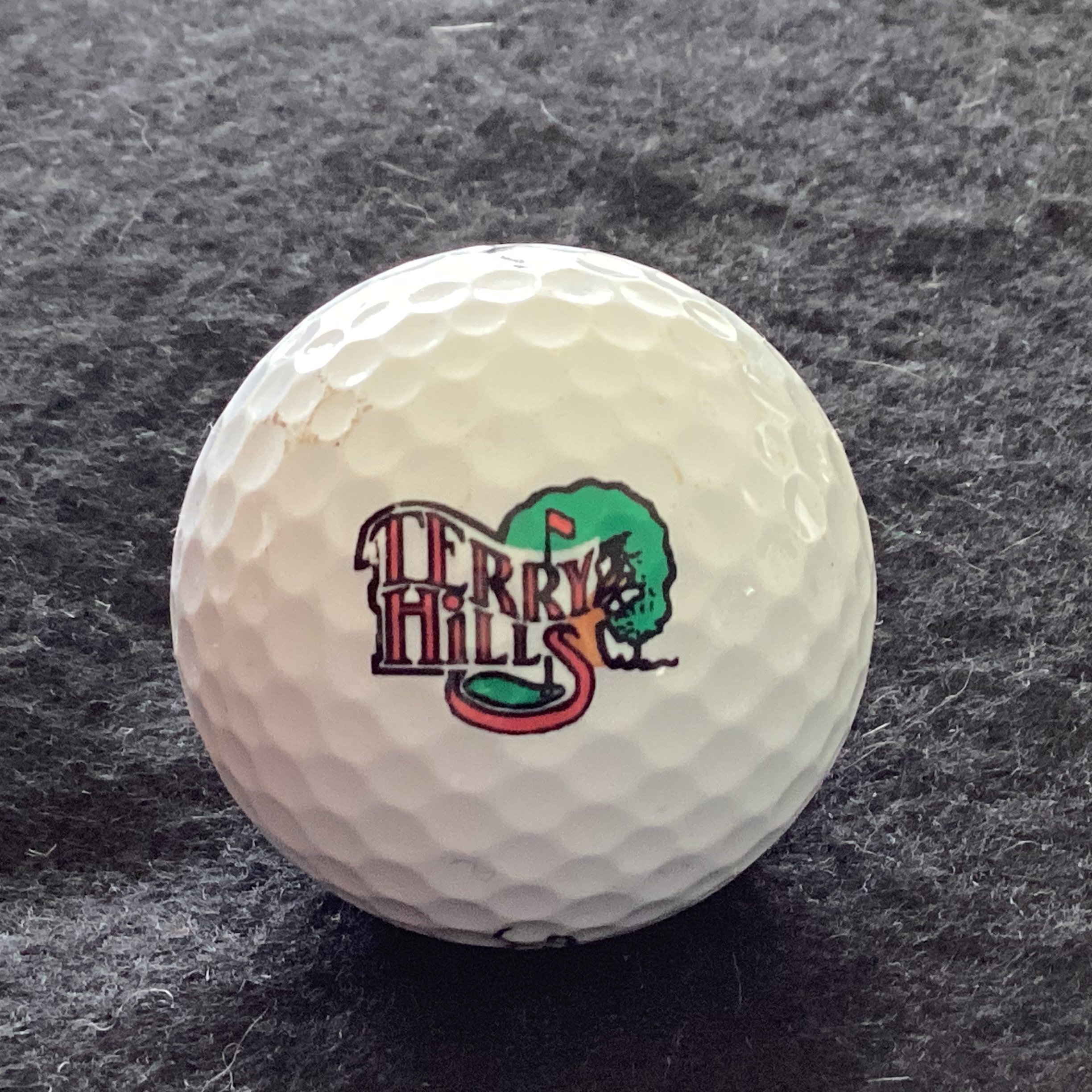 Terry Hills Golf Club 