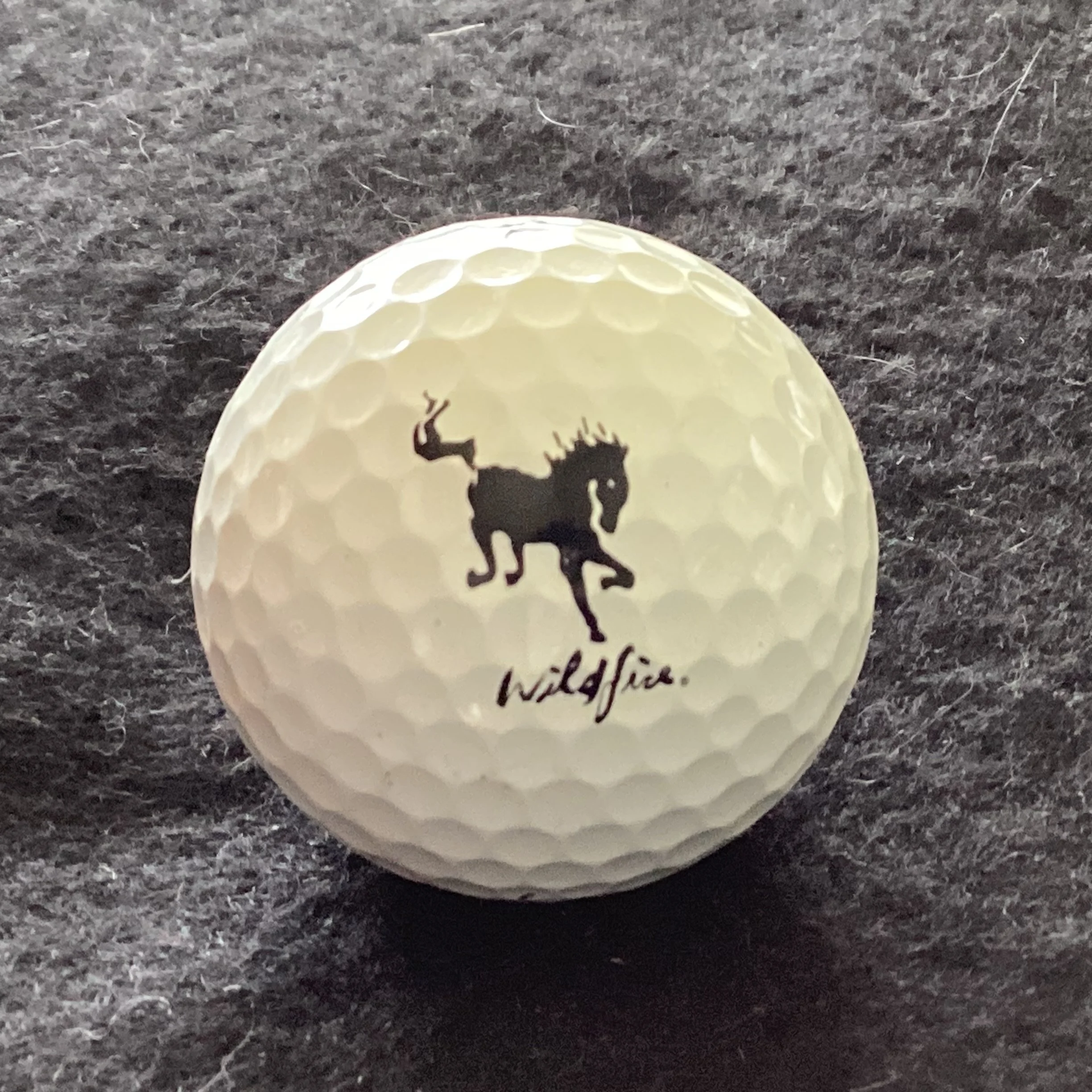 Wildfire Golf Course 