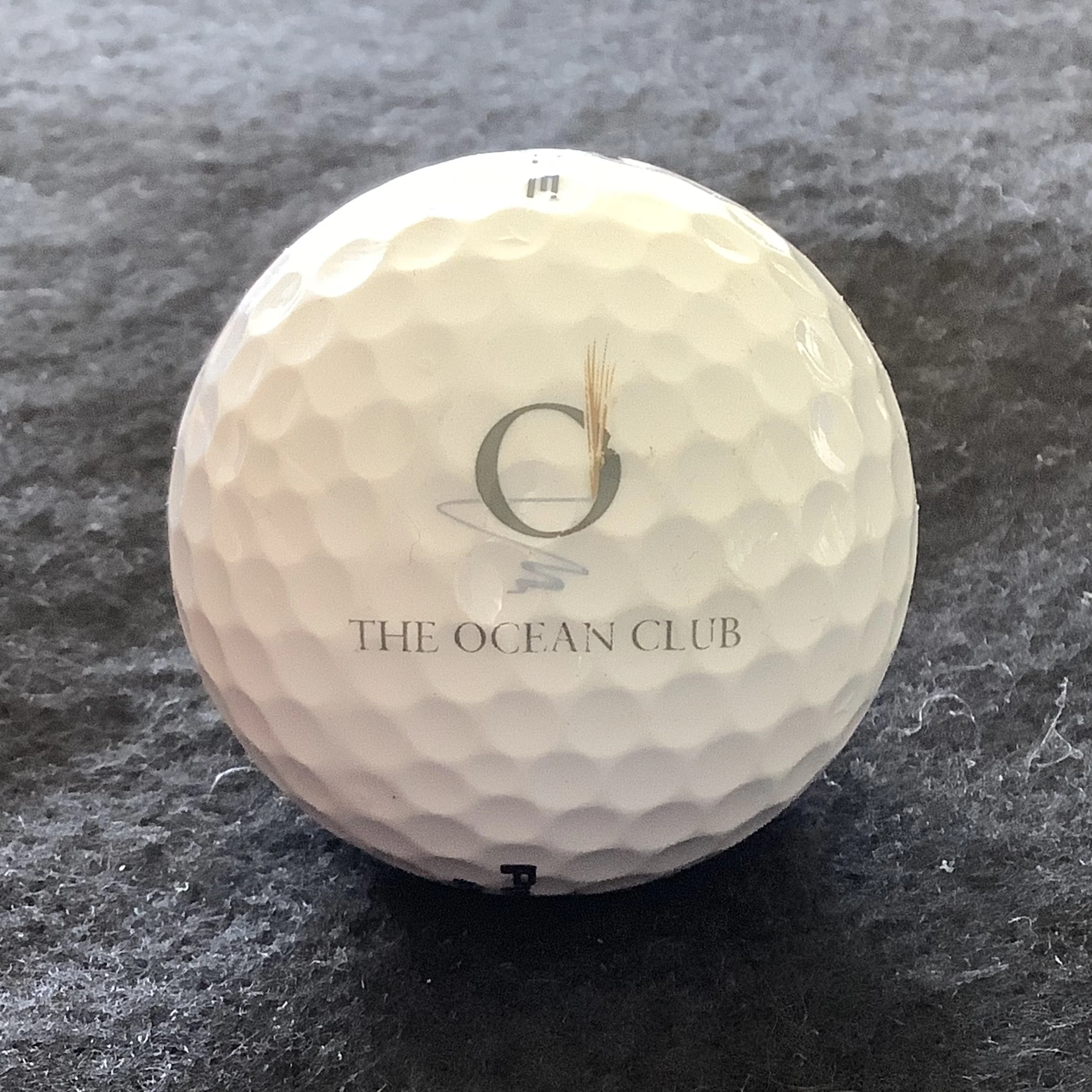 Ocean - The Ocean Club