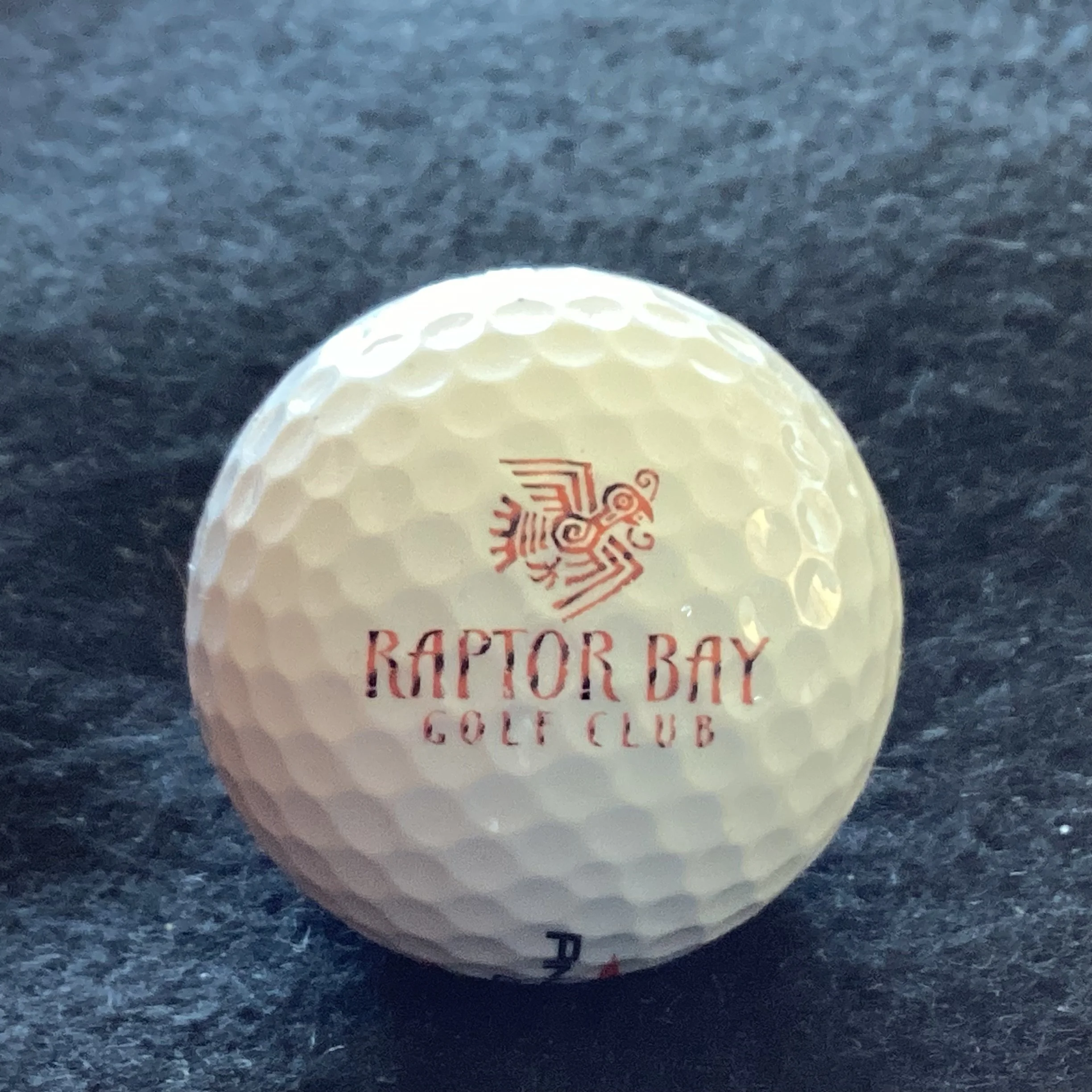 Raptor Bay Golf Club 