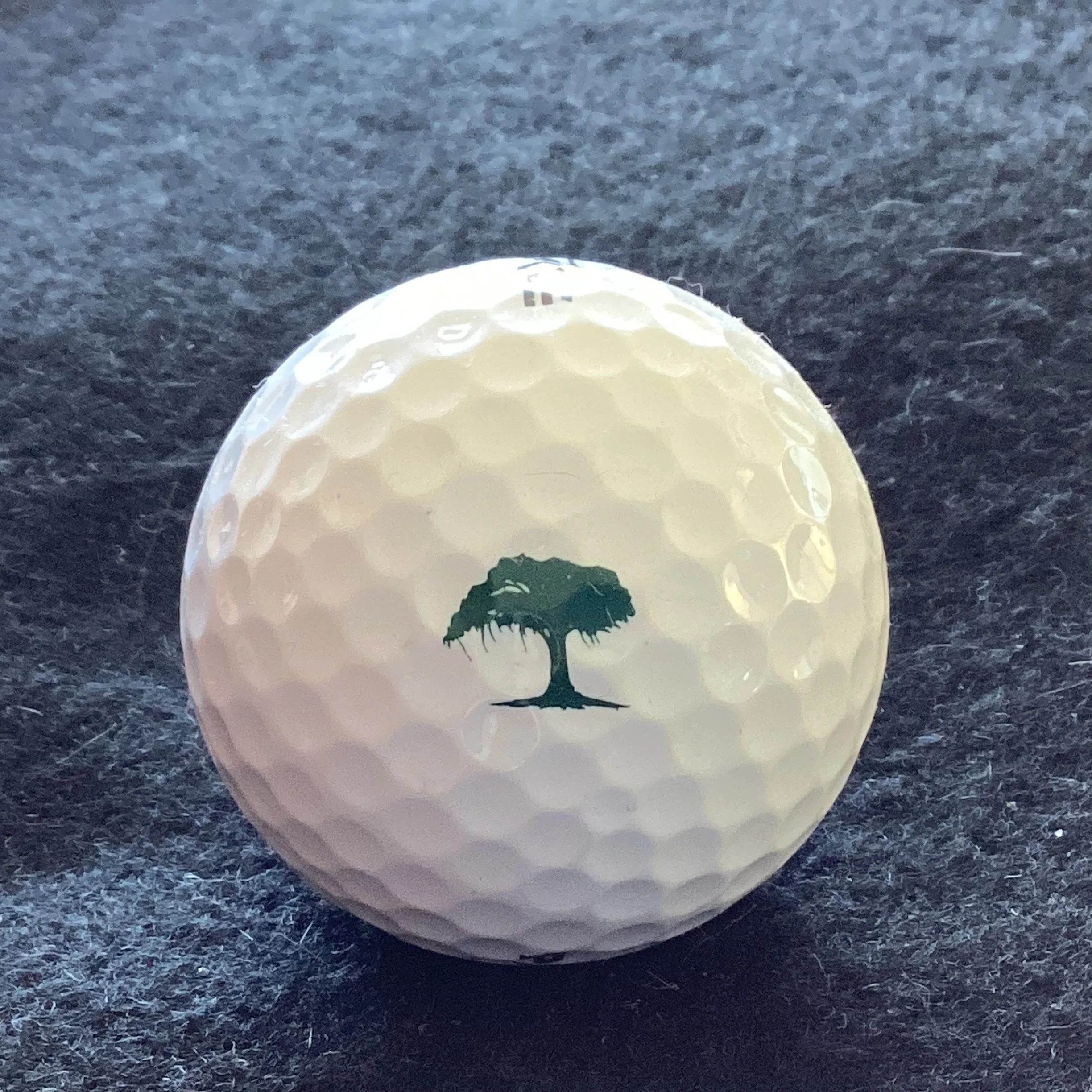 Shadow Wood Country Club 