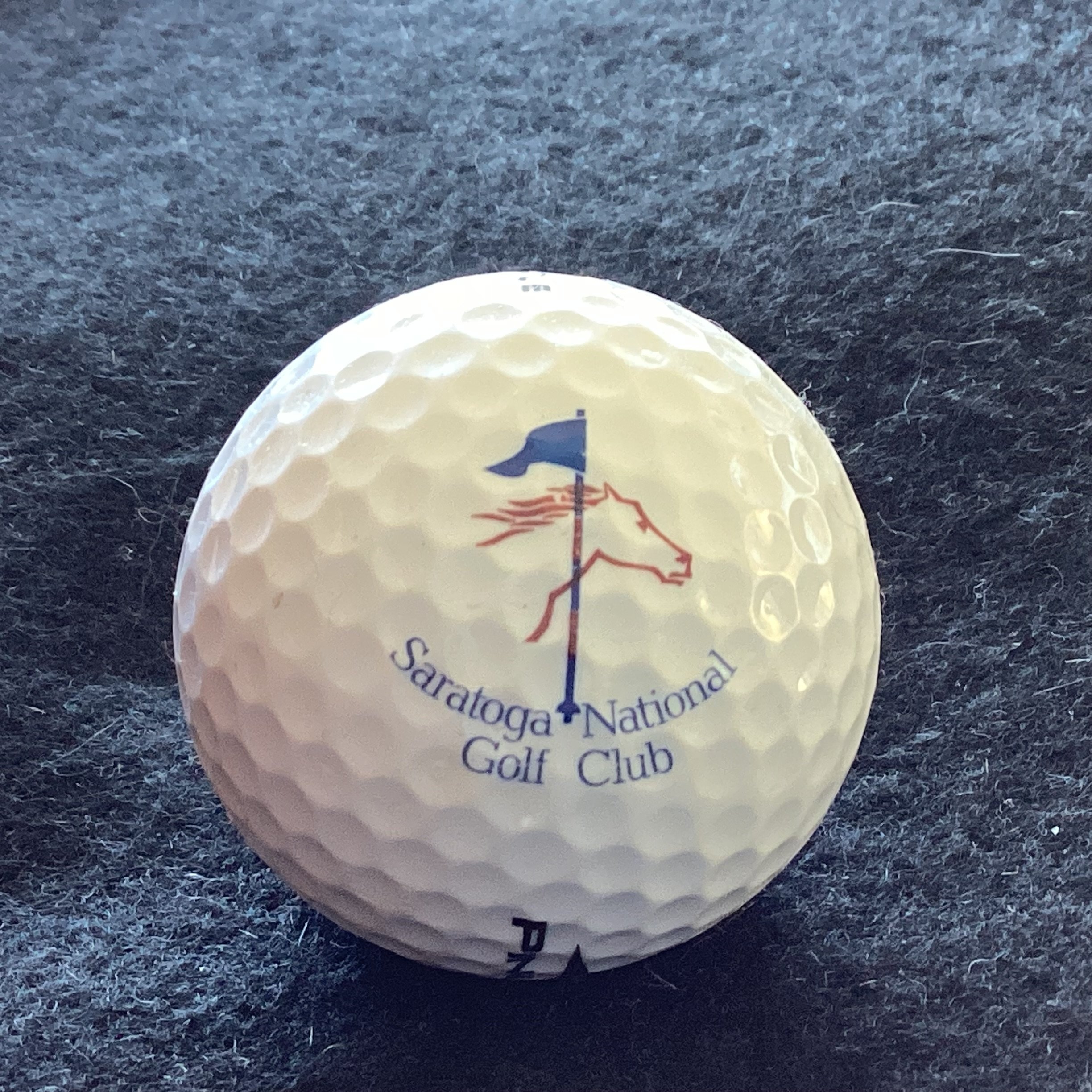 Saratoga National Golf Club 