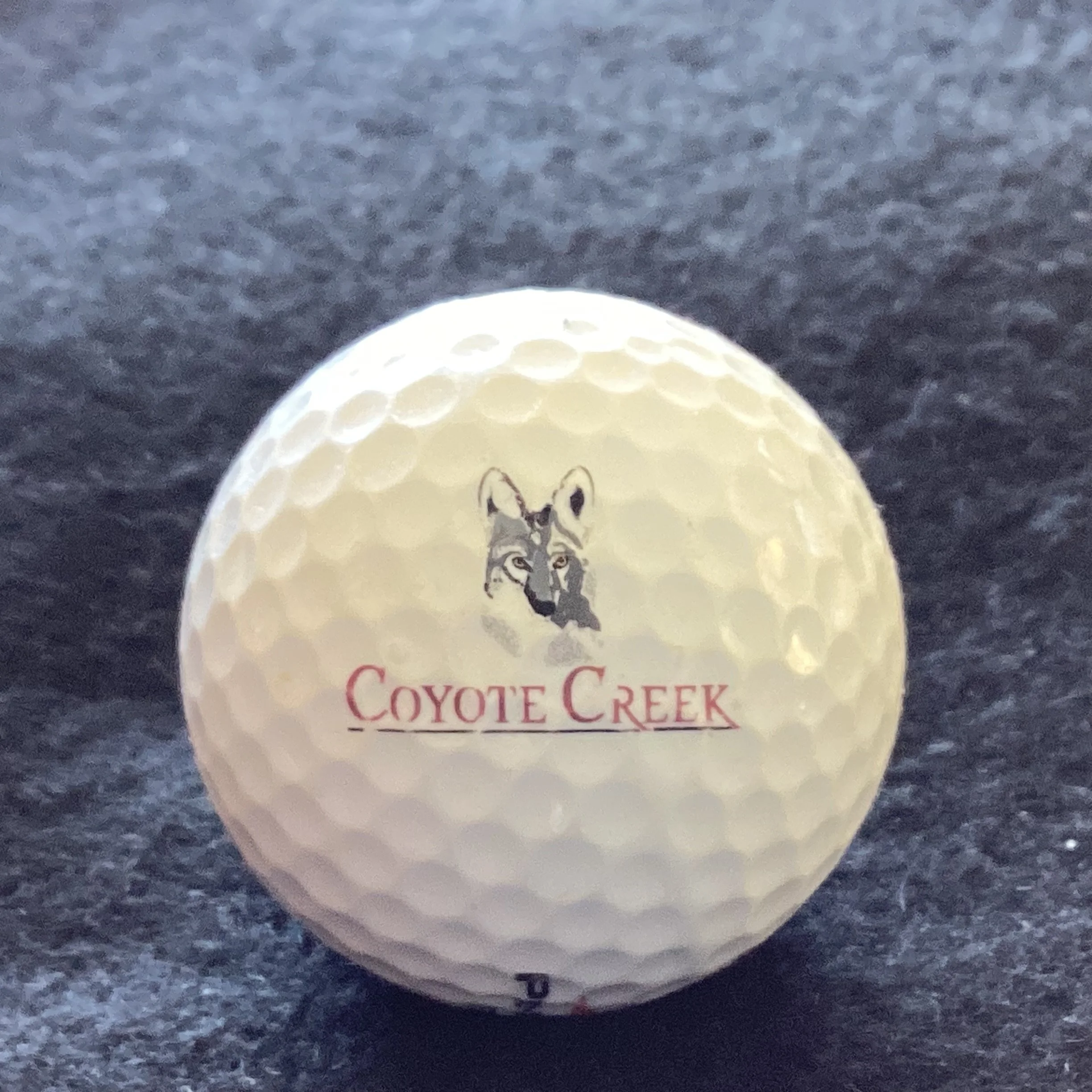 Coyote Creek Golf Course 