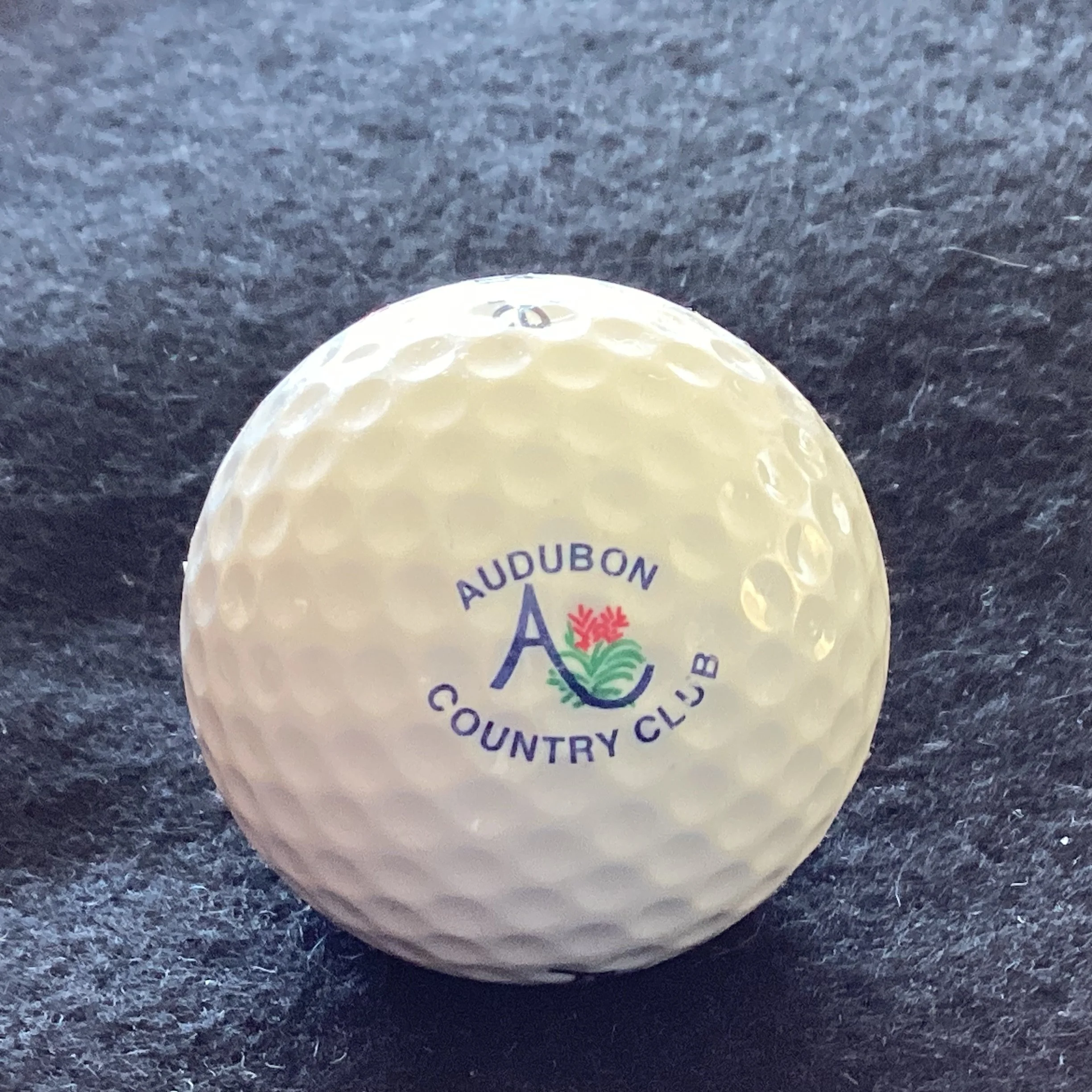 Audubon Country Club 