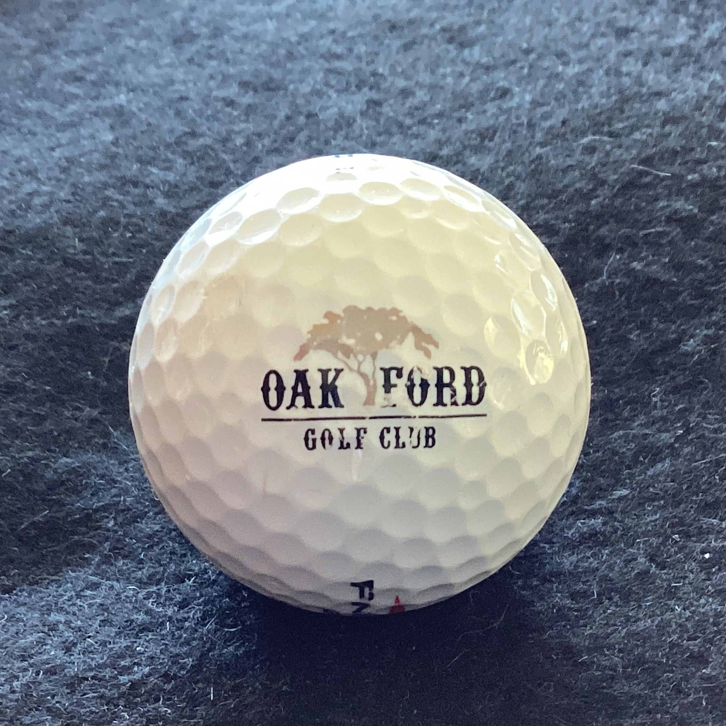 Oak Ford Golf Club 