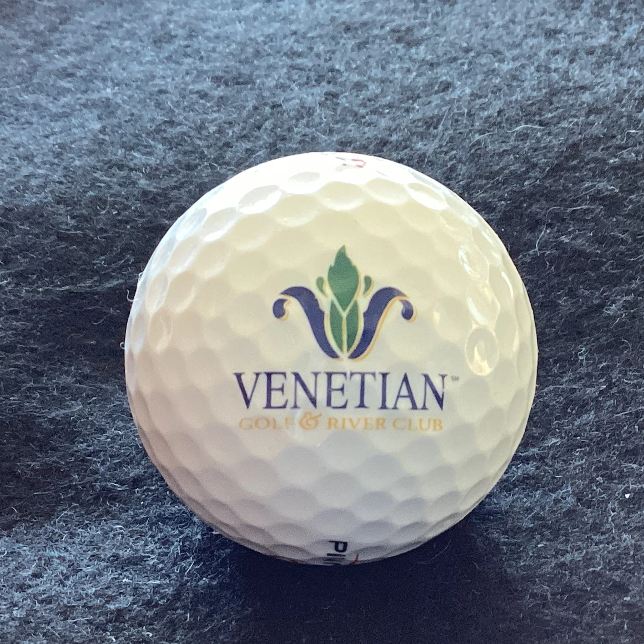Venetian Golf and River Club