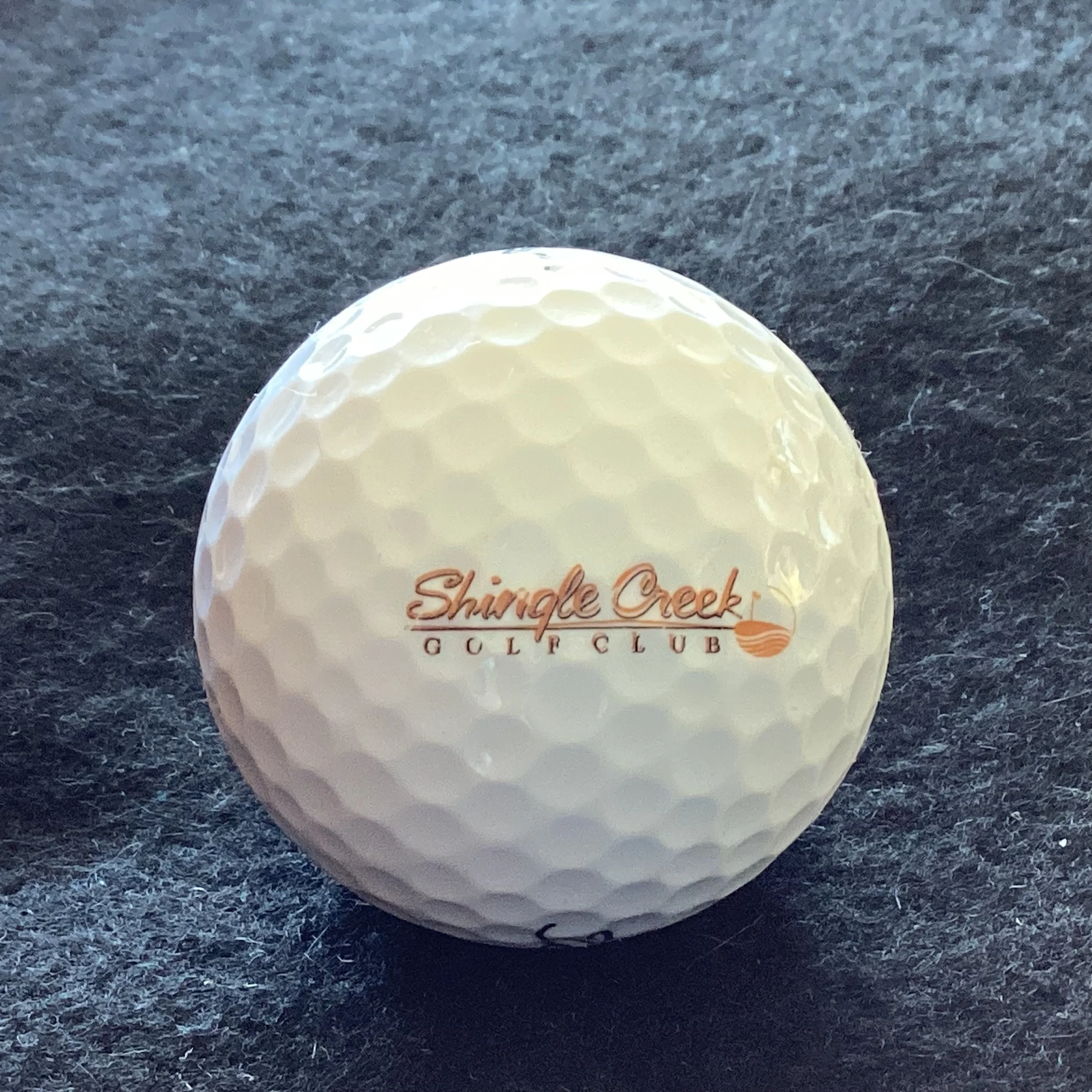 Shingle Creek Golf Club 