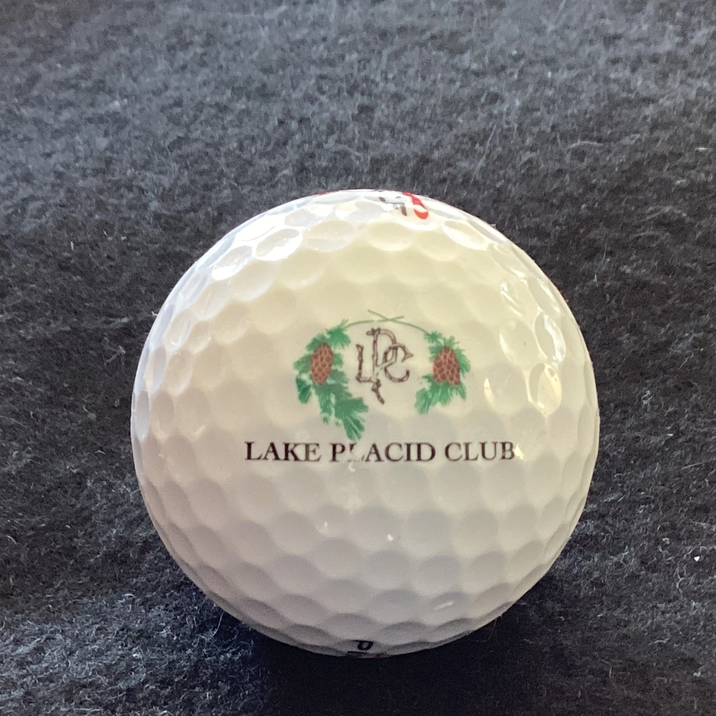 Lake Placid Club 