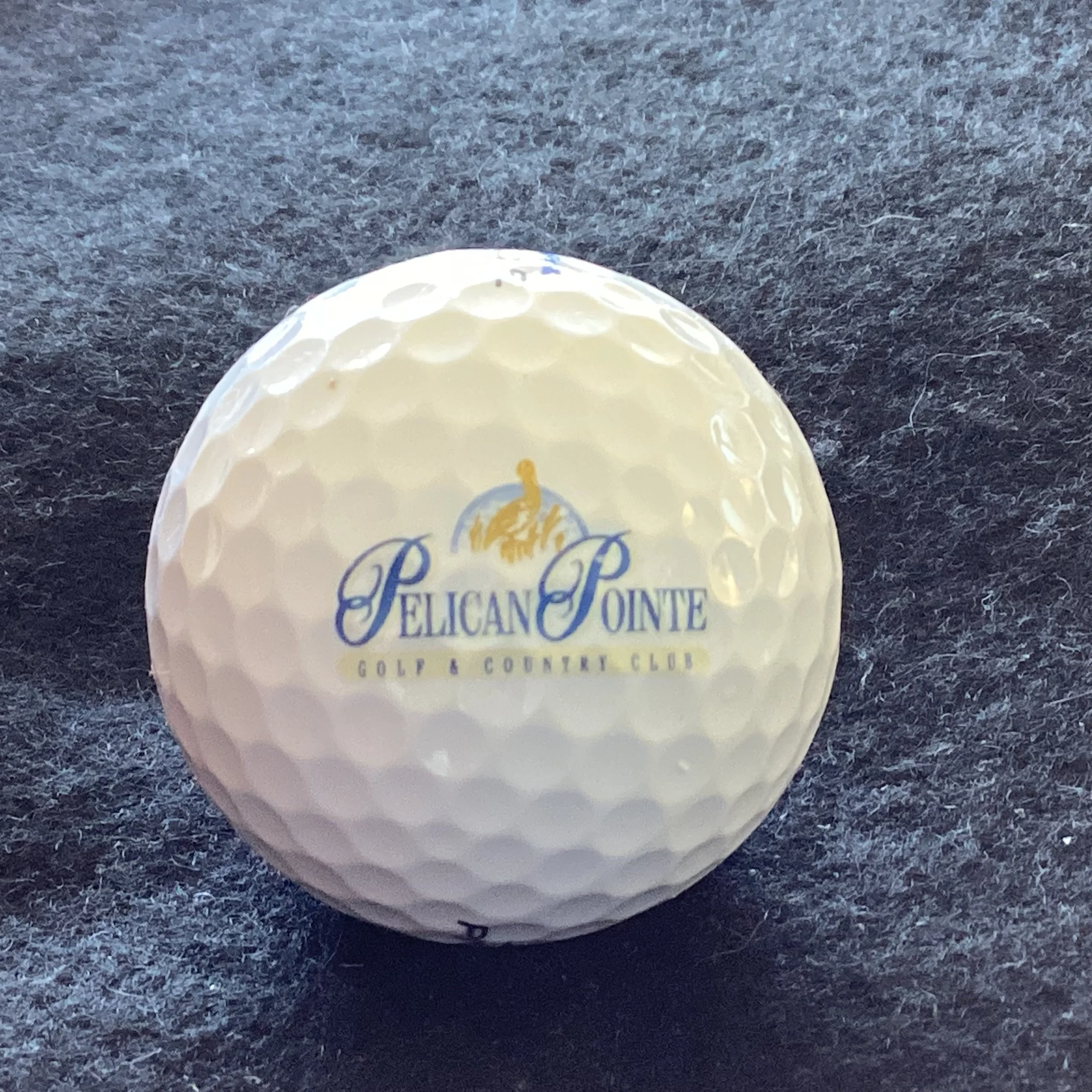 Pelican Pointe Golf and Country Club 