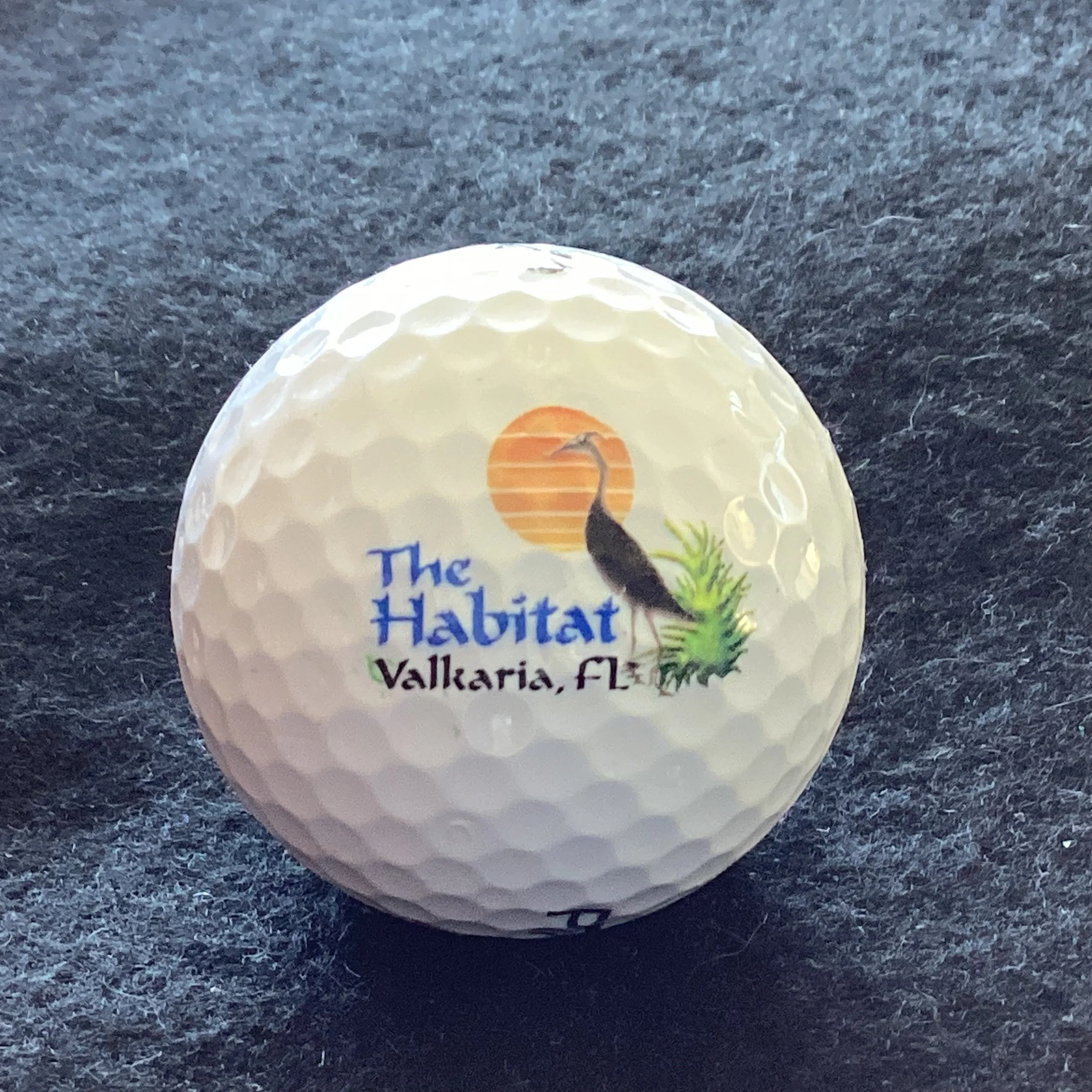 Habitat - The Habitat