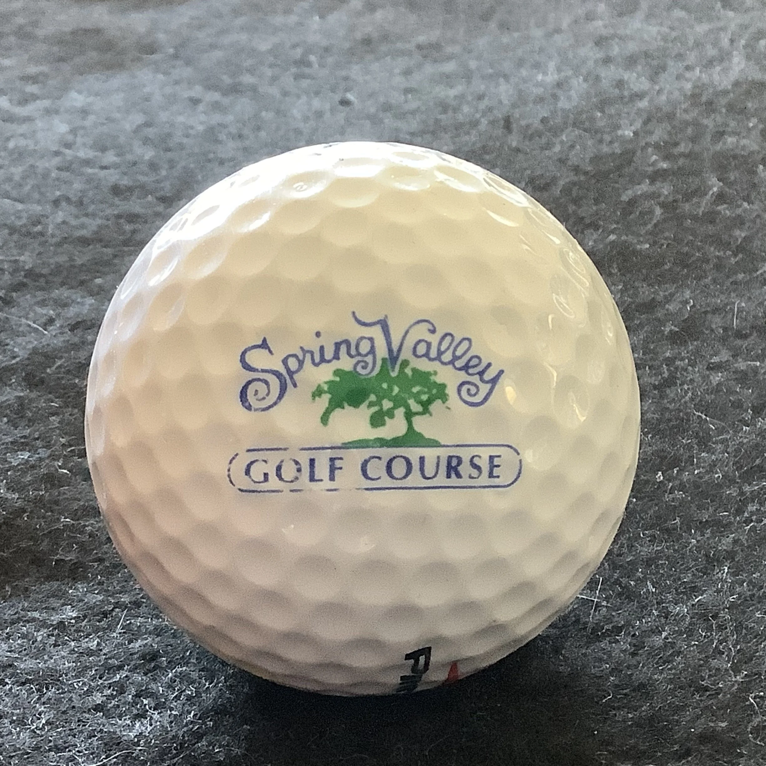 Spring Valley Golf Course 