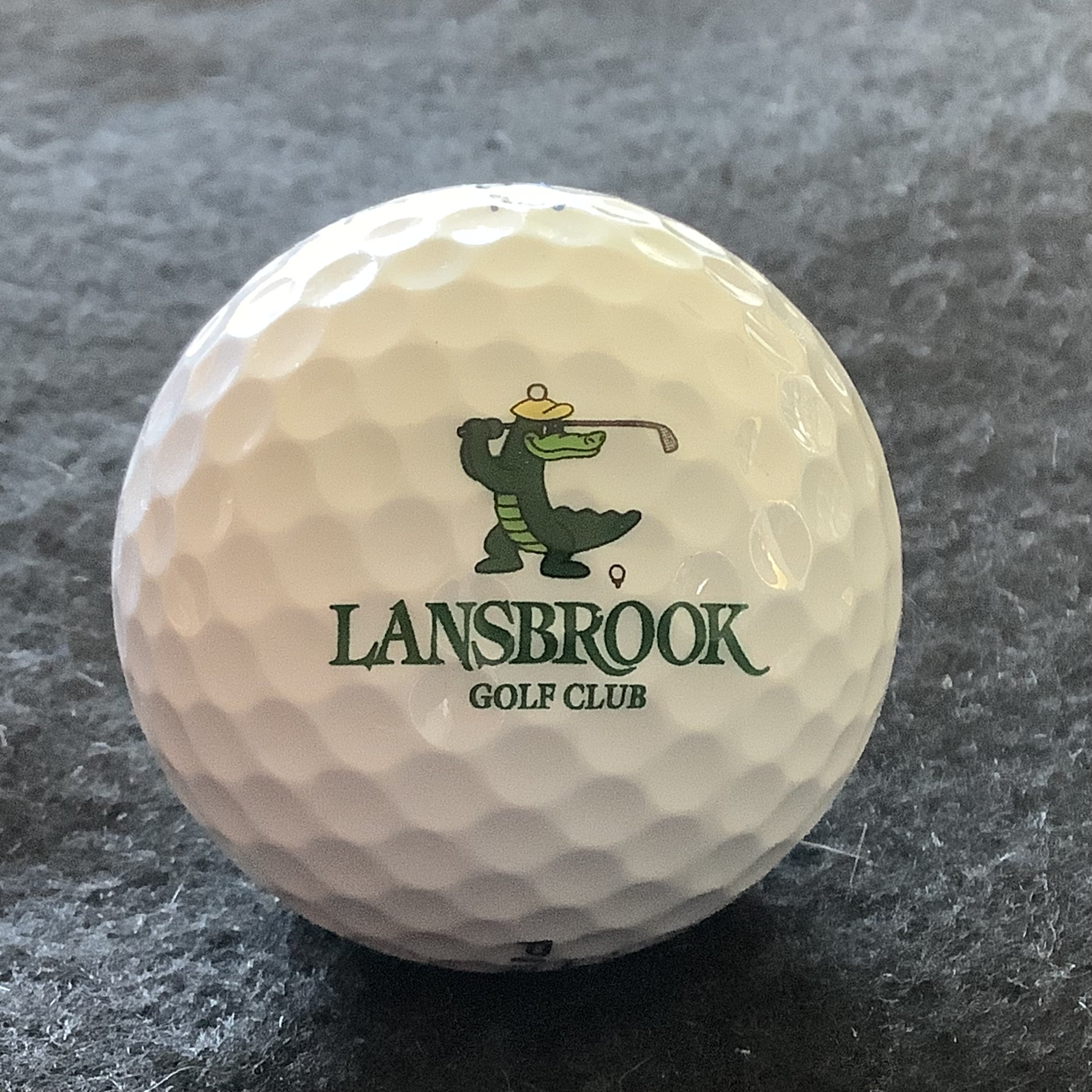 Lansbrook Golf Club 