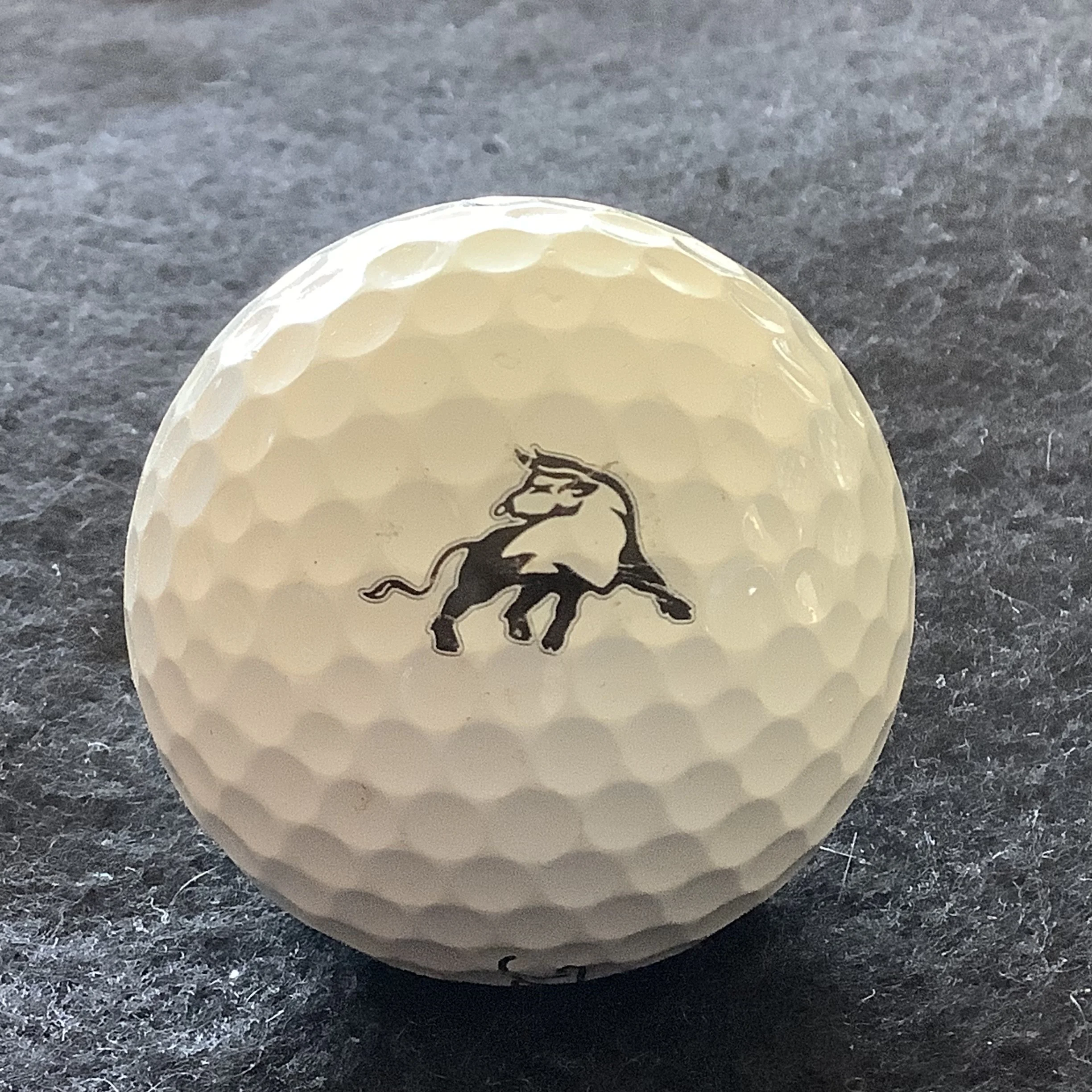 Bull - The Bull at Pinehurst Farms