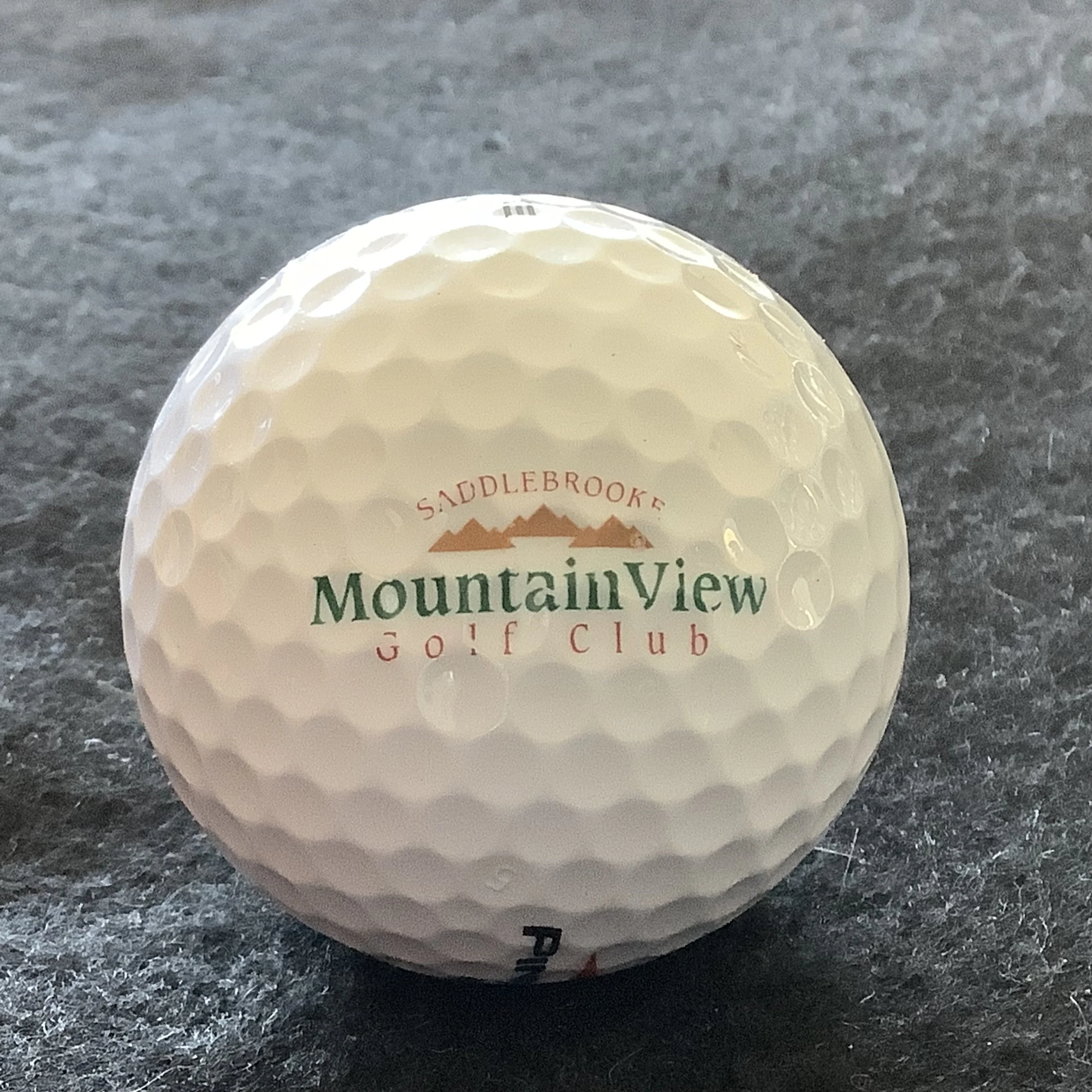 Saddlebrook Mountain View Golf Club 