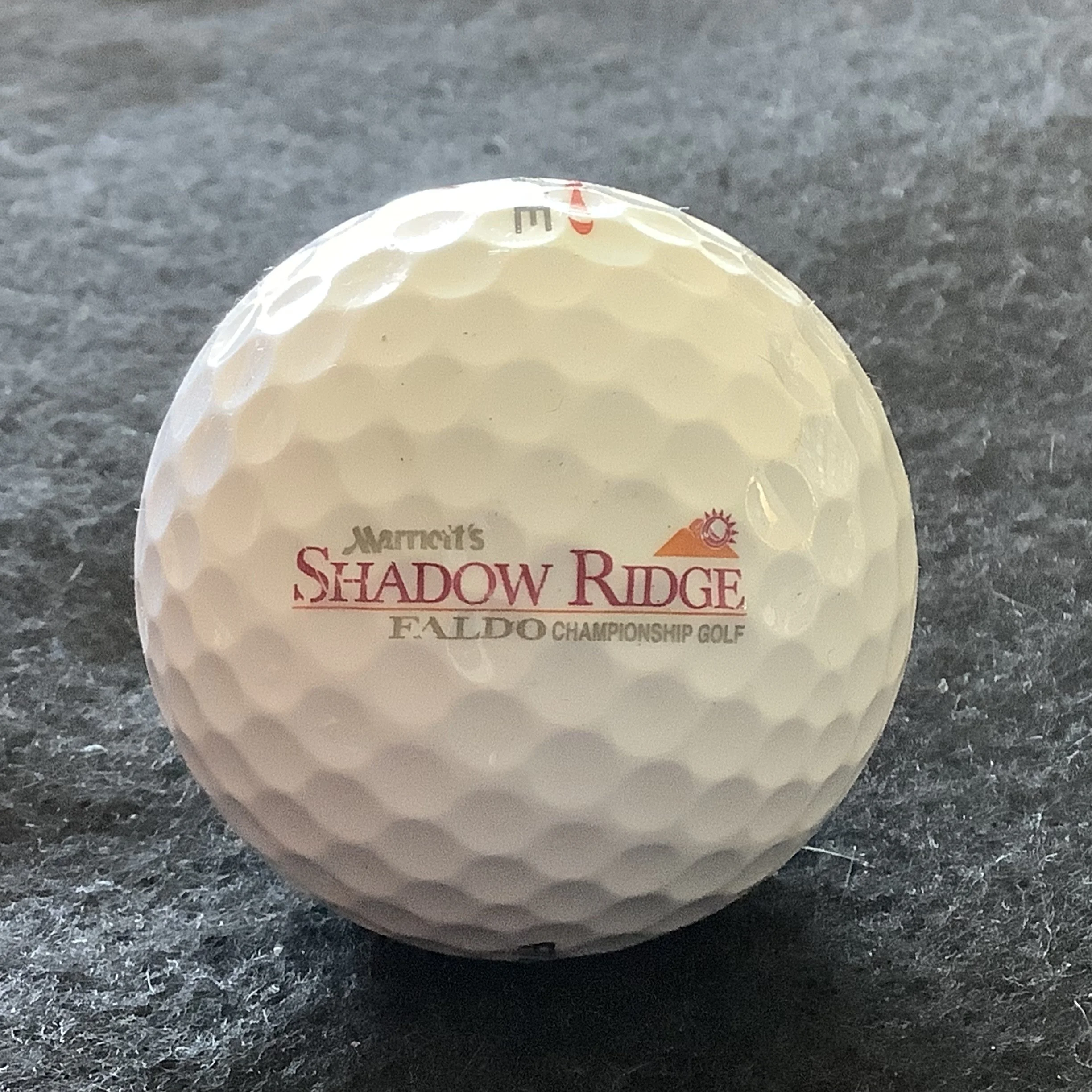 Marriott’s Shadow Ridge Golf Club 