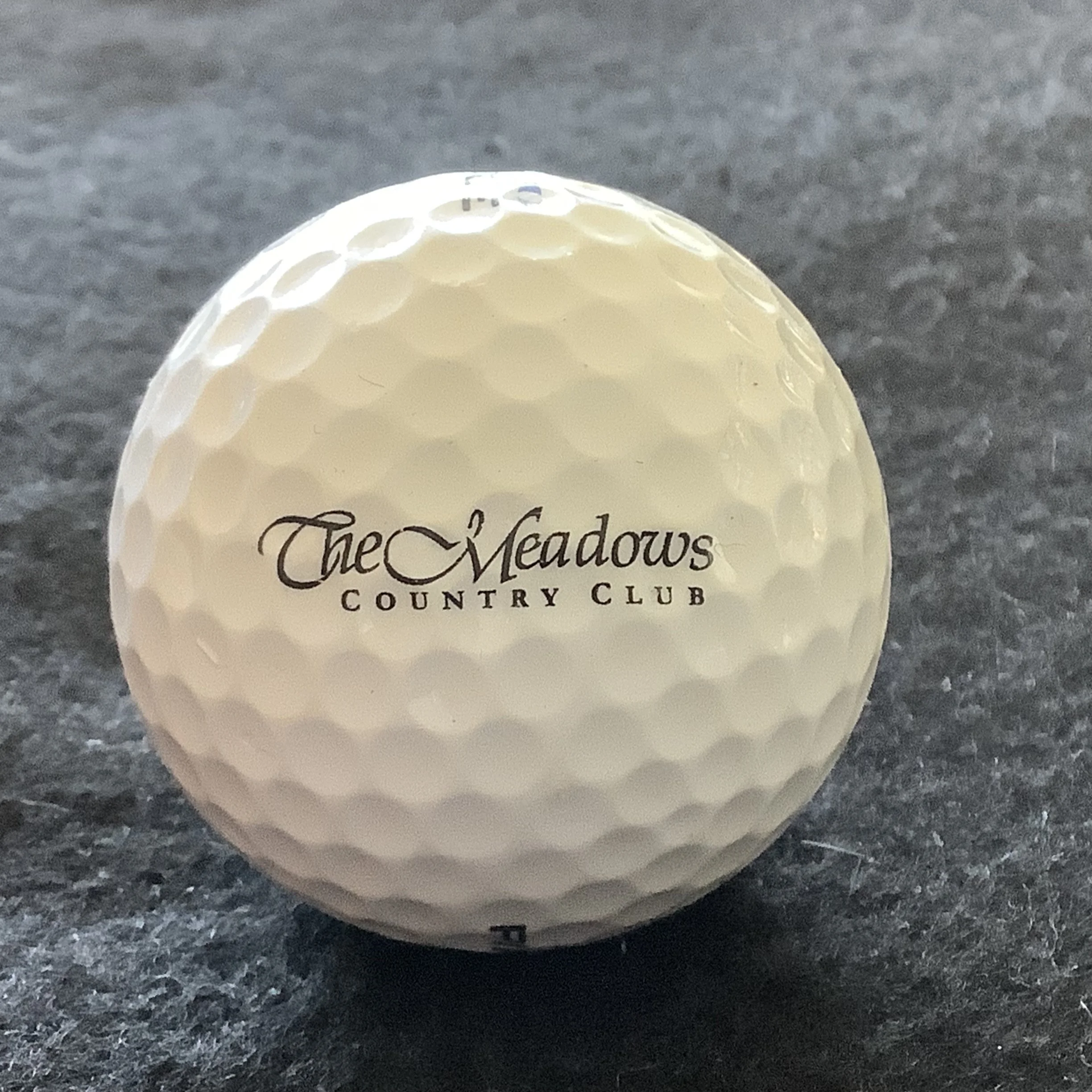 Meadows - The Meadows Country Club 