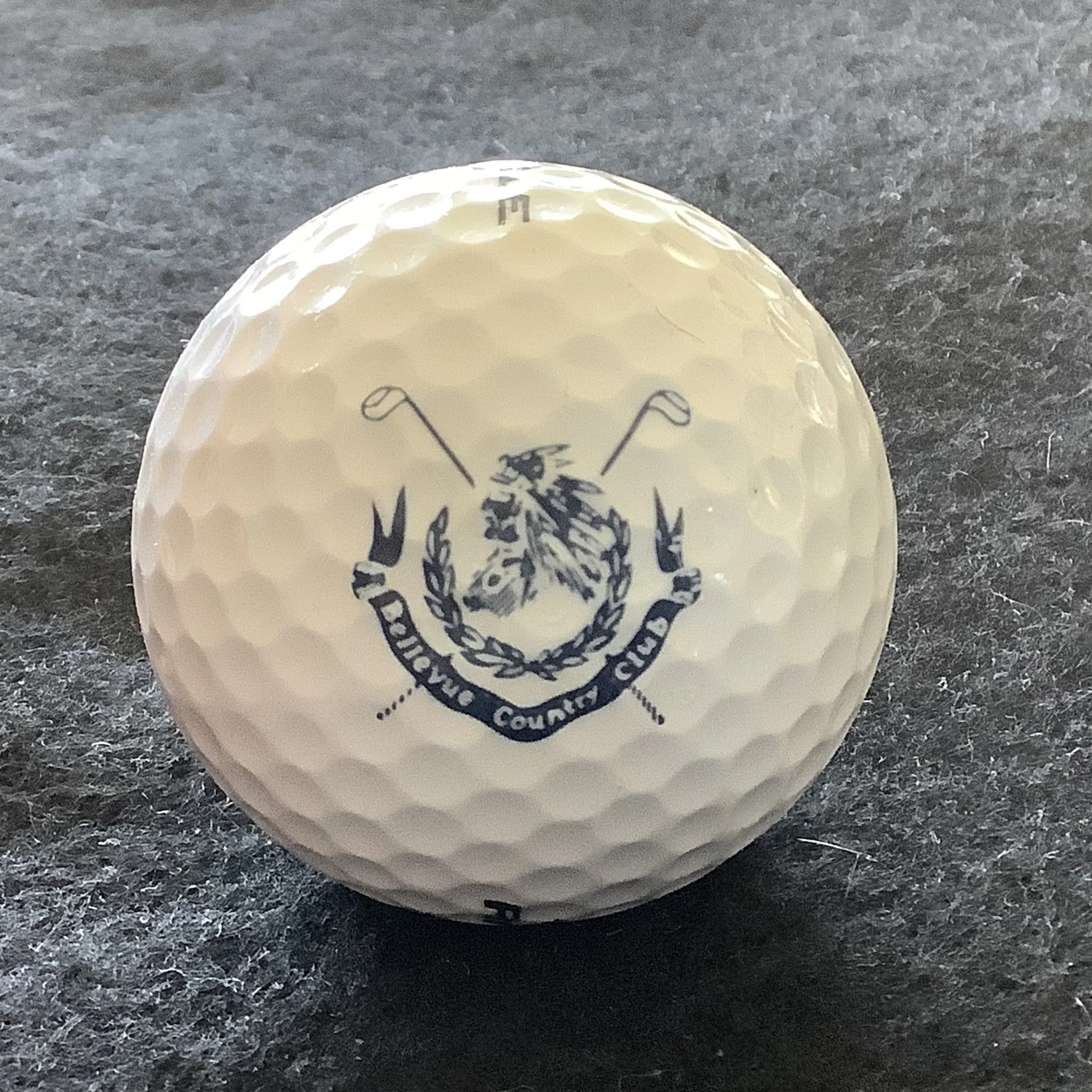 Bellevue Country Club 