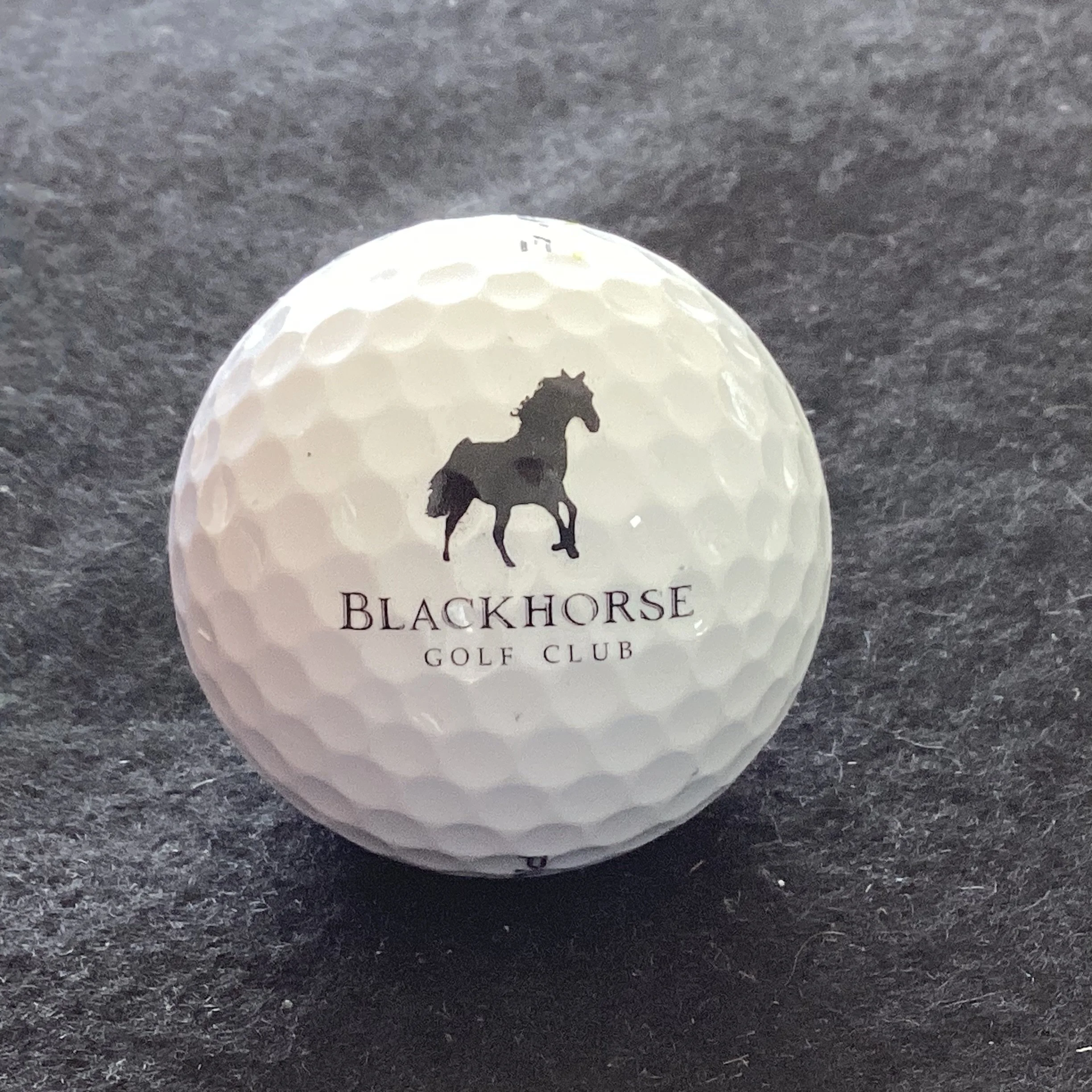 Blackhorse Golf Club 