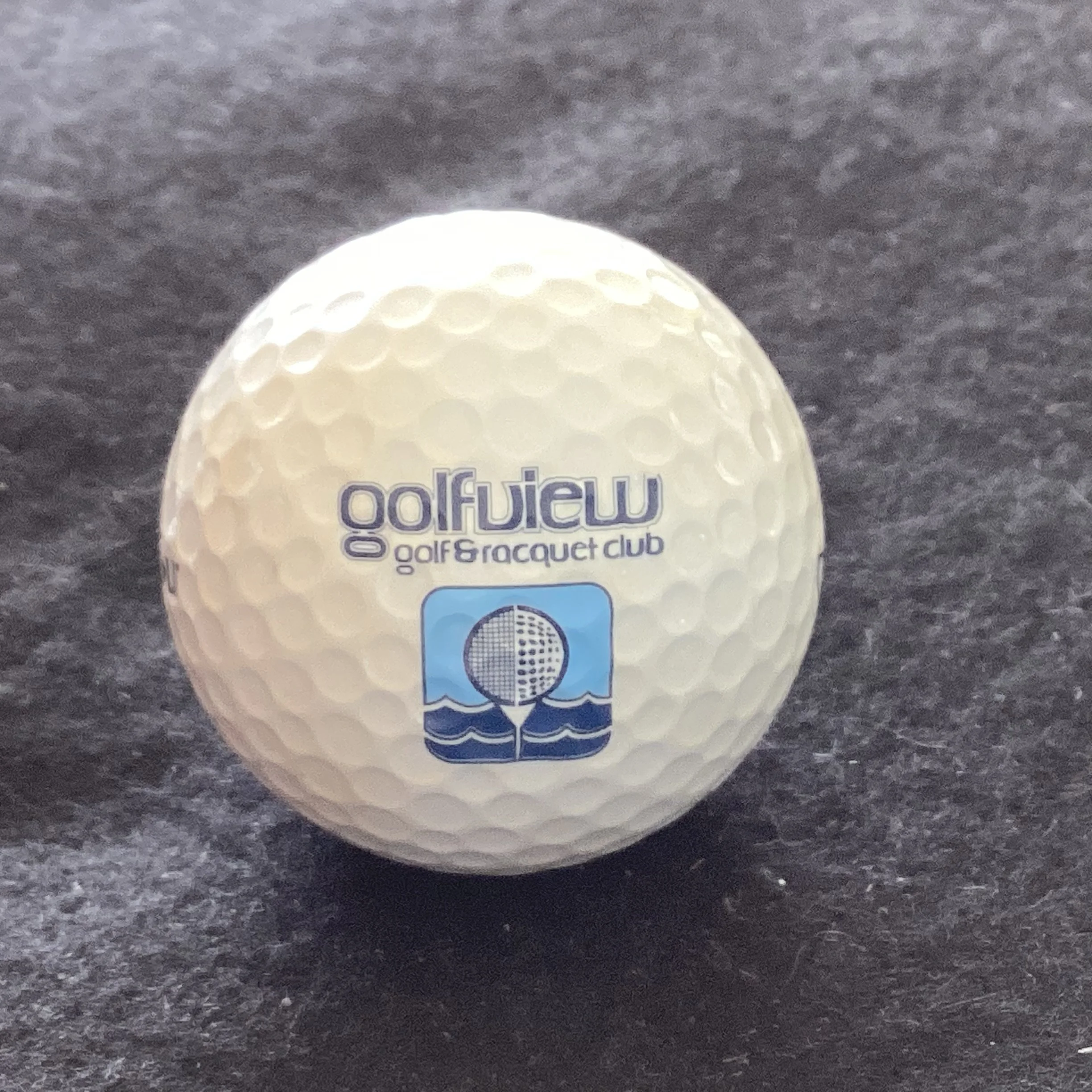 Golfview Golf and Racquet Club 