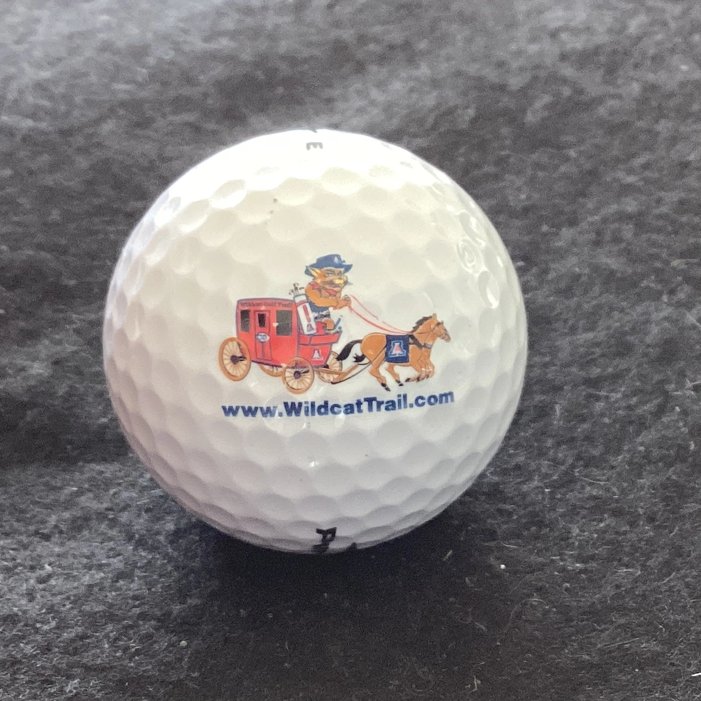 Wildcat Trail Golf Course 