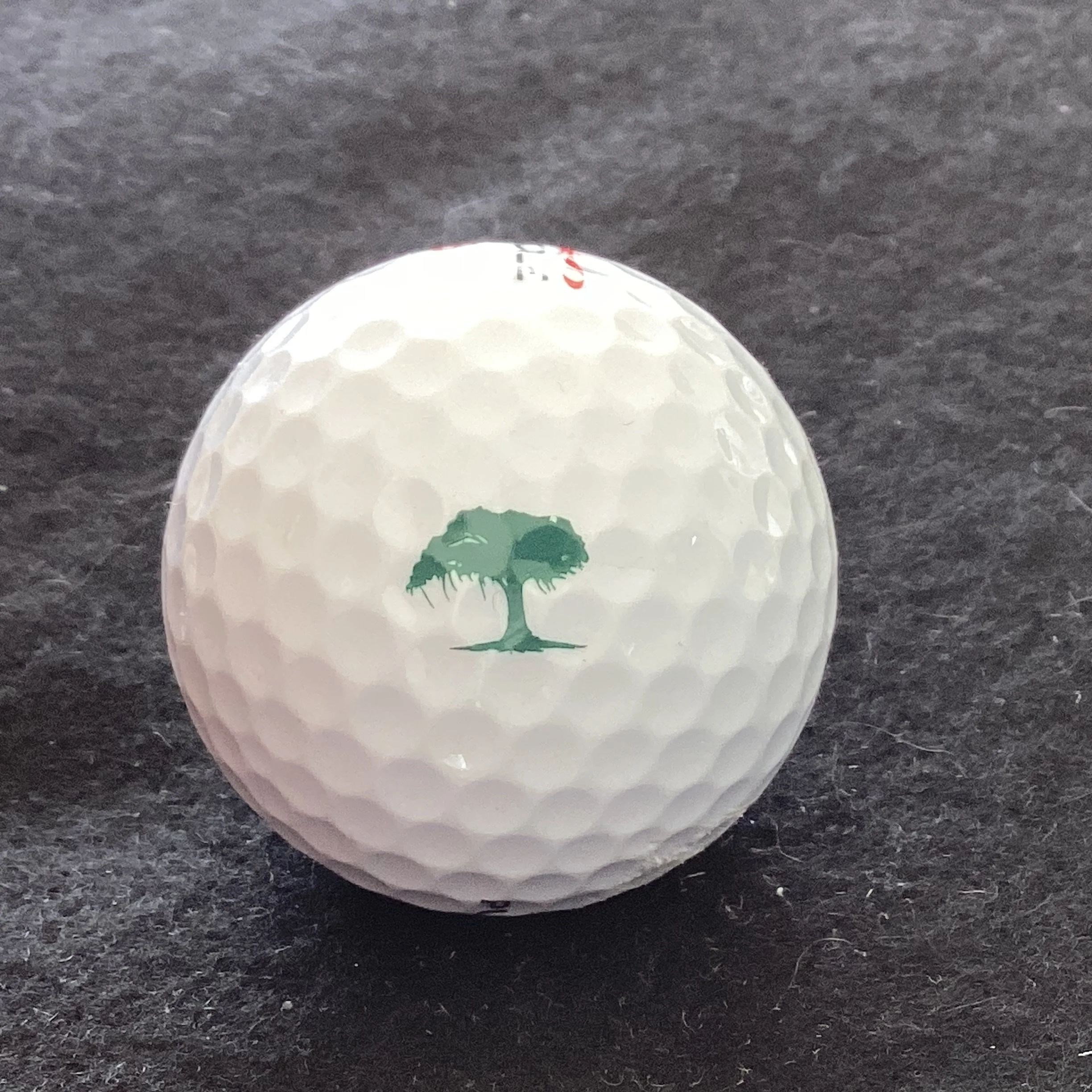 Shadow Wood Country Club 