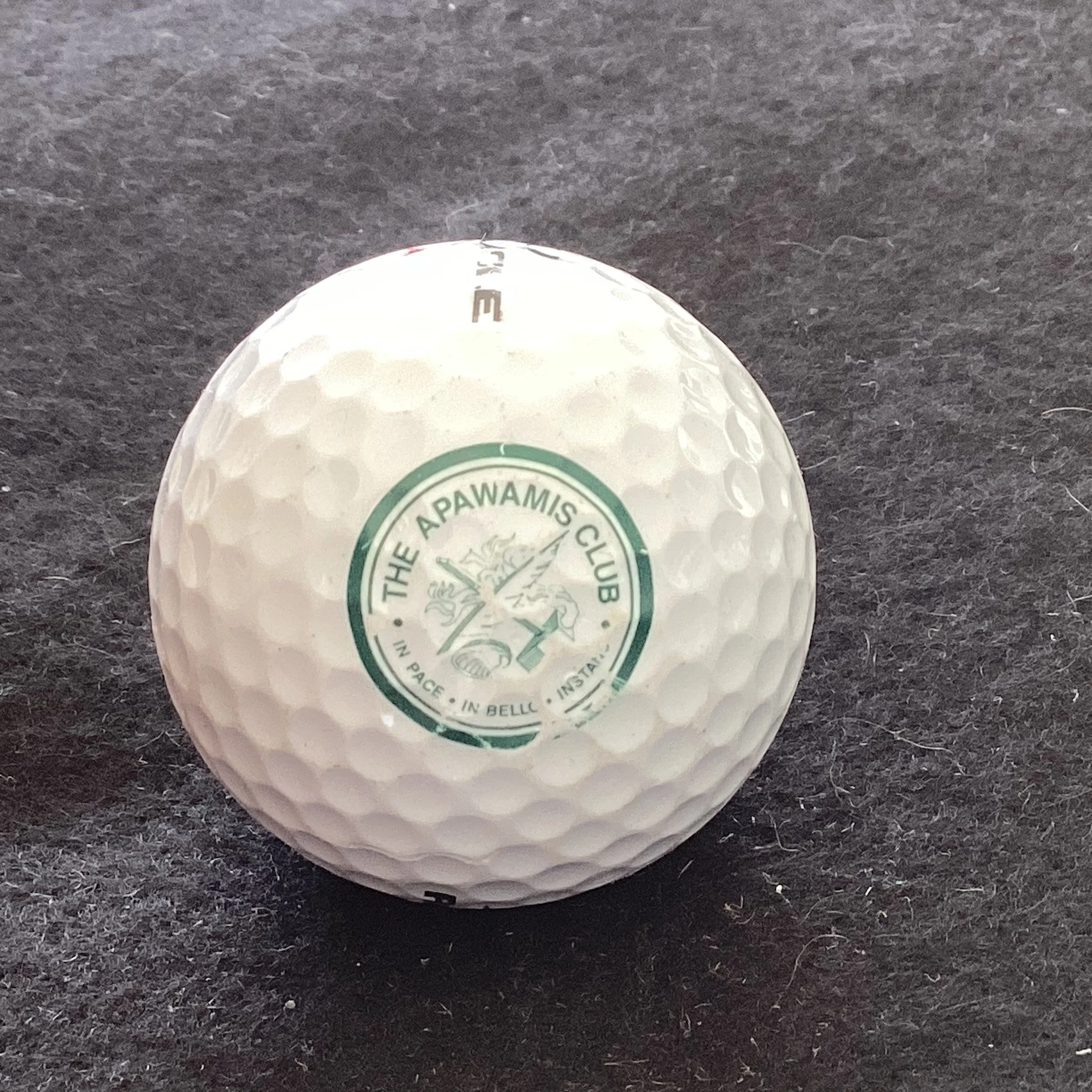 Apawamis - The Apawamis Club 