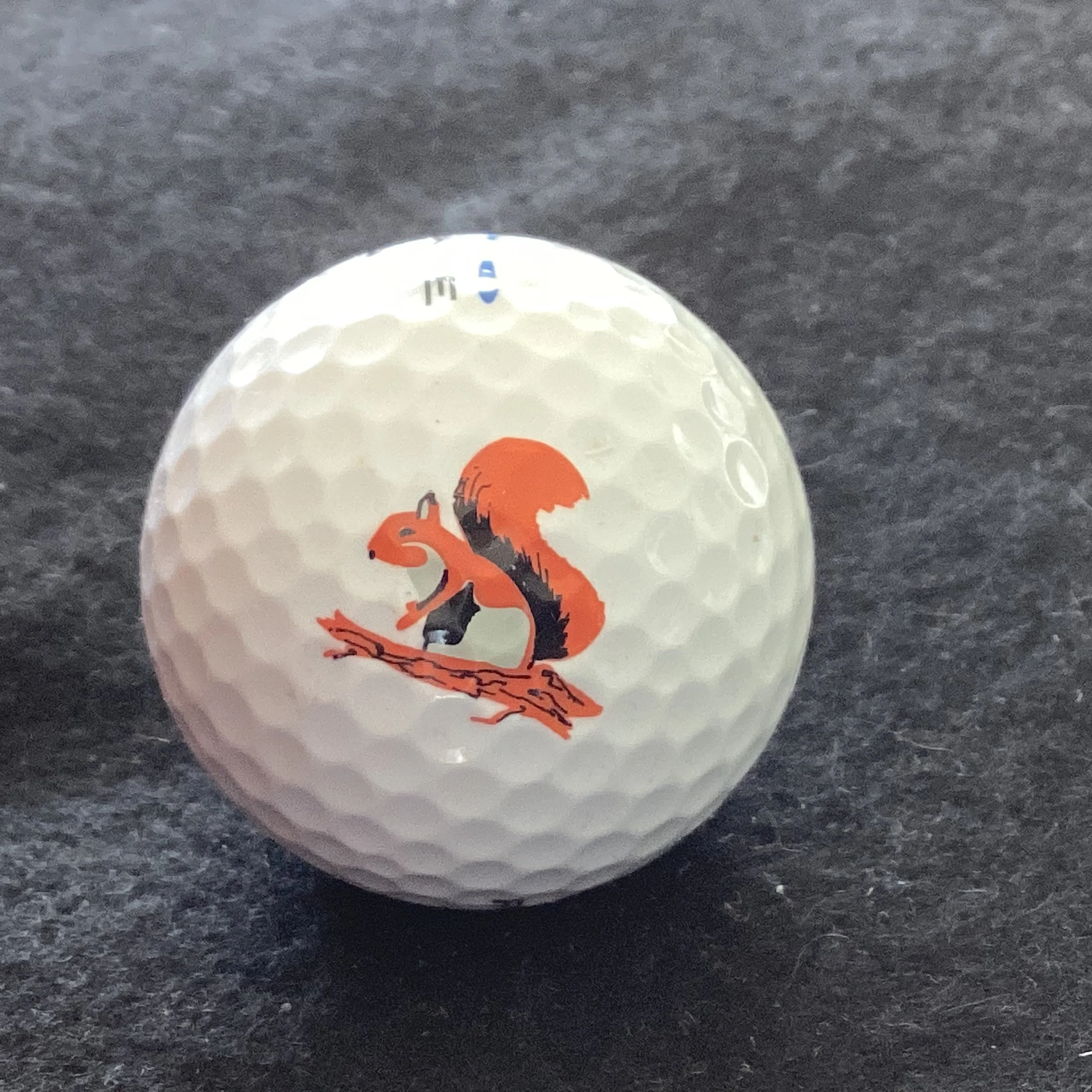 White Mountain Country Club 