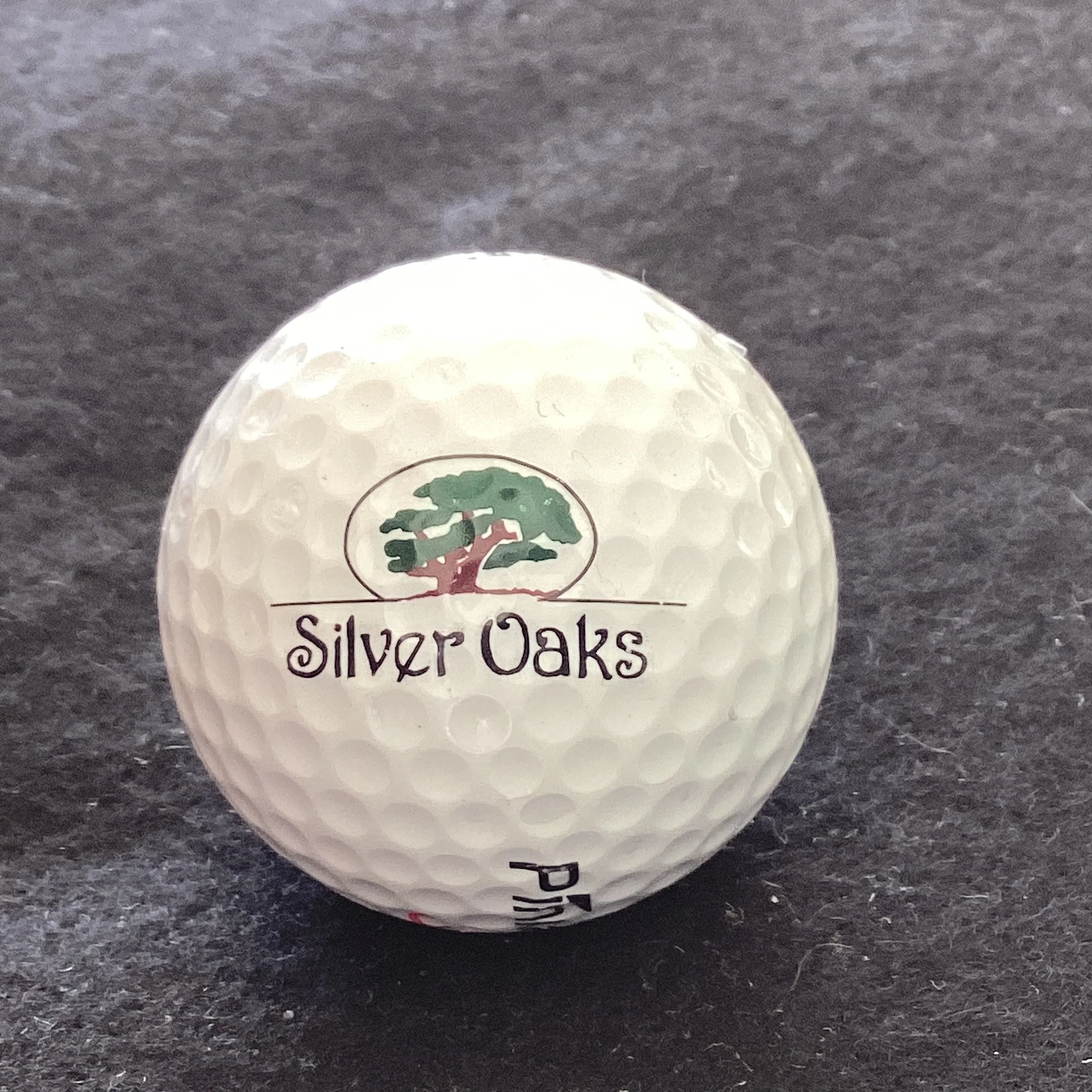 Silver Oaks Golf and Country Club 