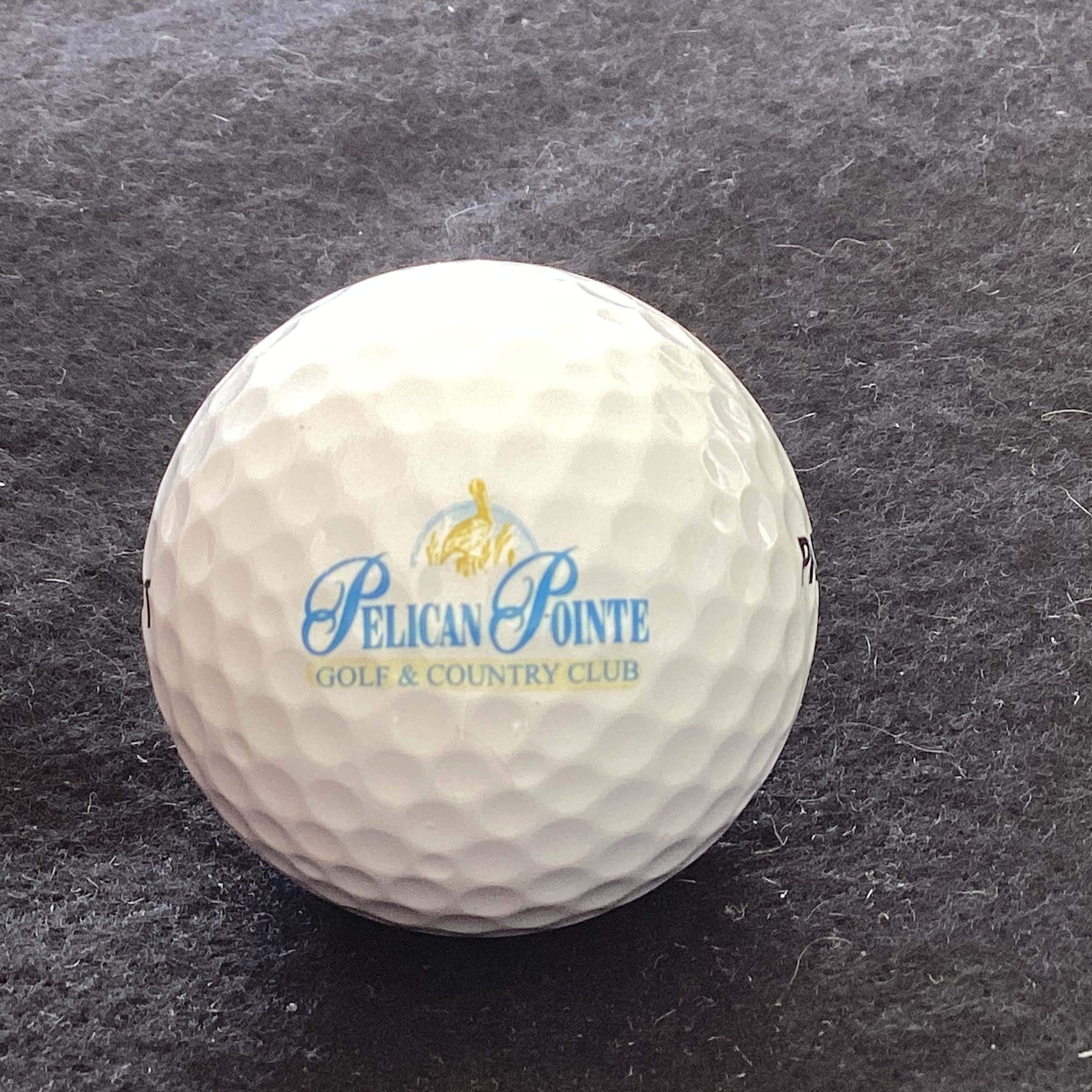 Pelican Pointe Golf and Country Club 